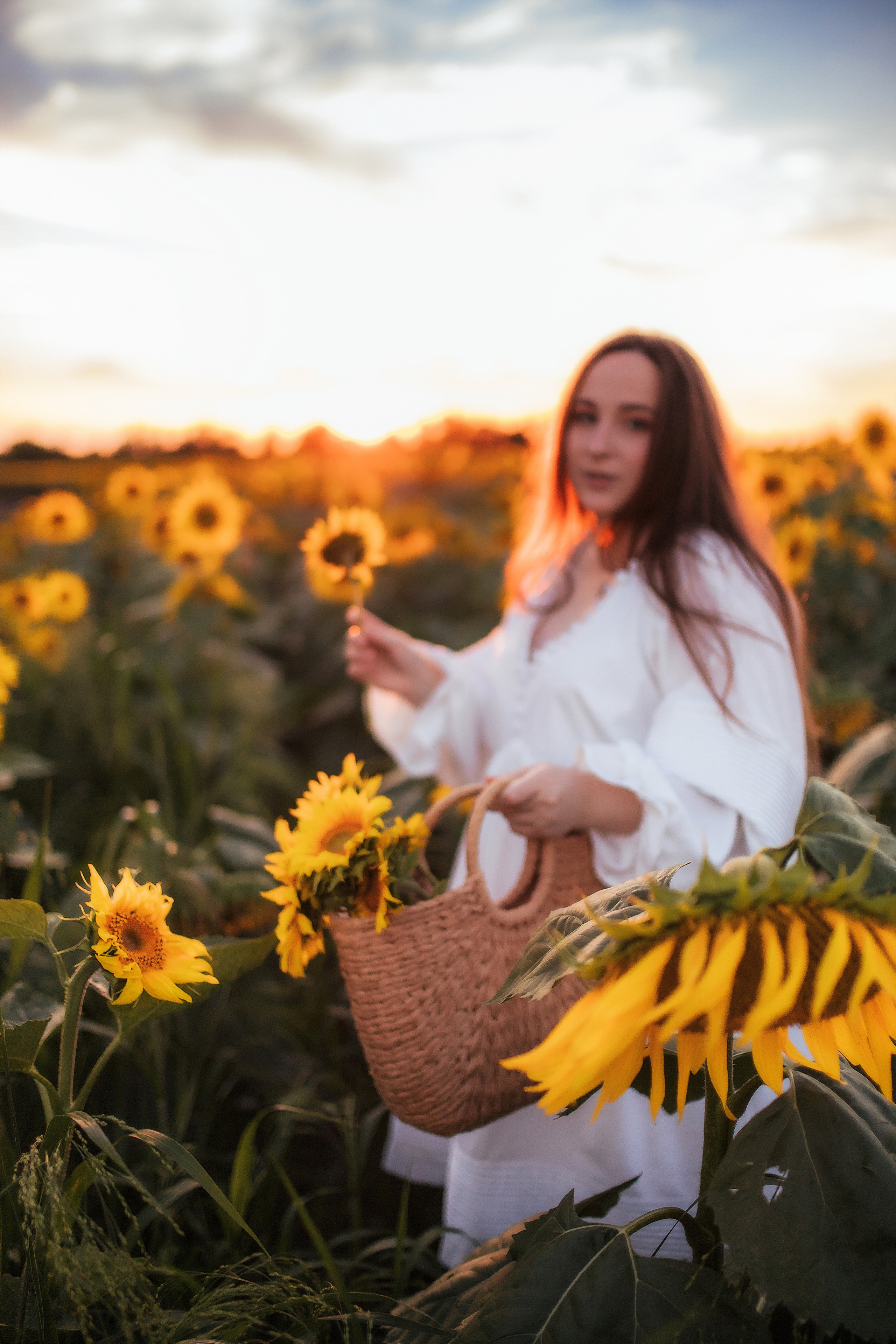Вікторія і соняшники. Семейный и свадебный фотограф в Харьков