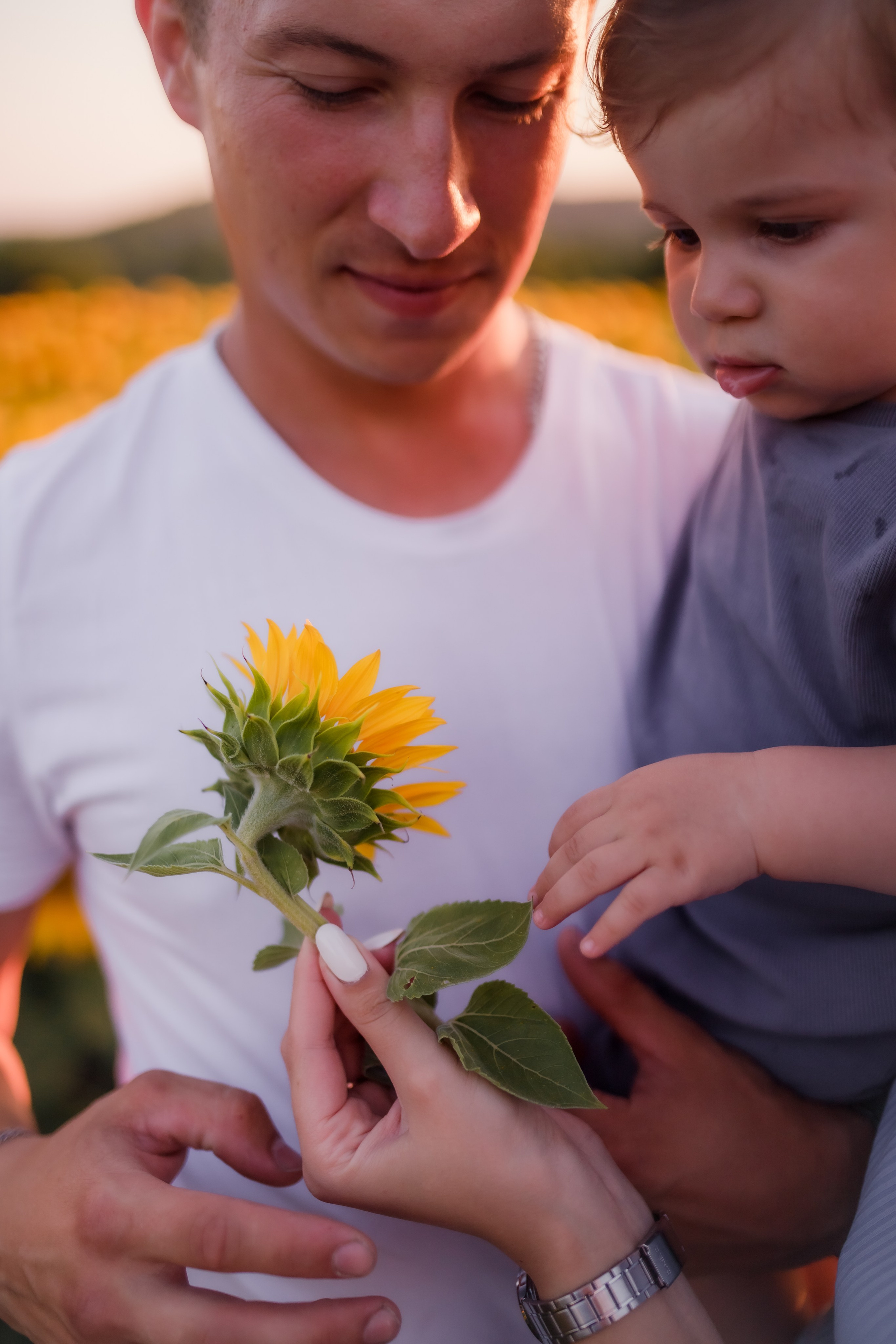 Сімейна літня історія. Семейный и свадебный фотограф в Харьков