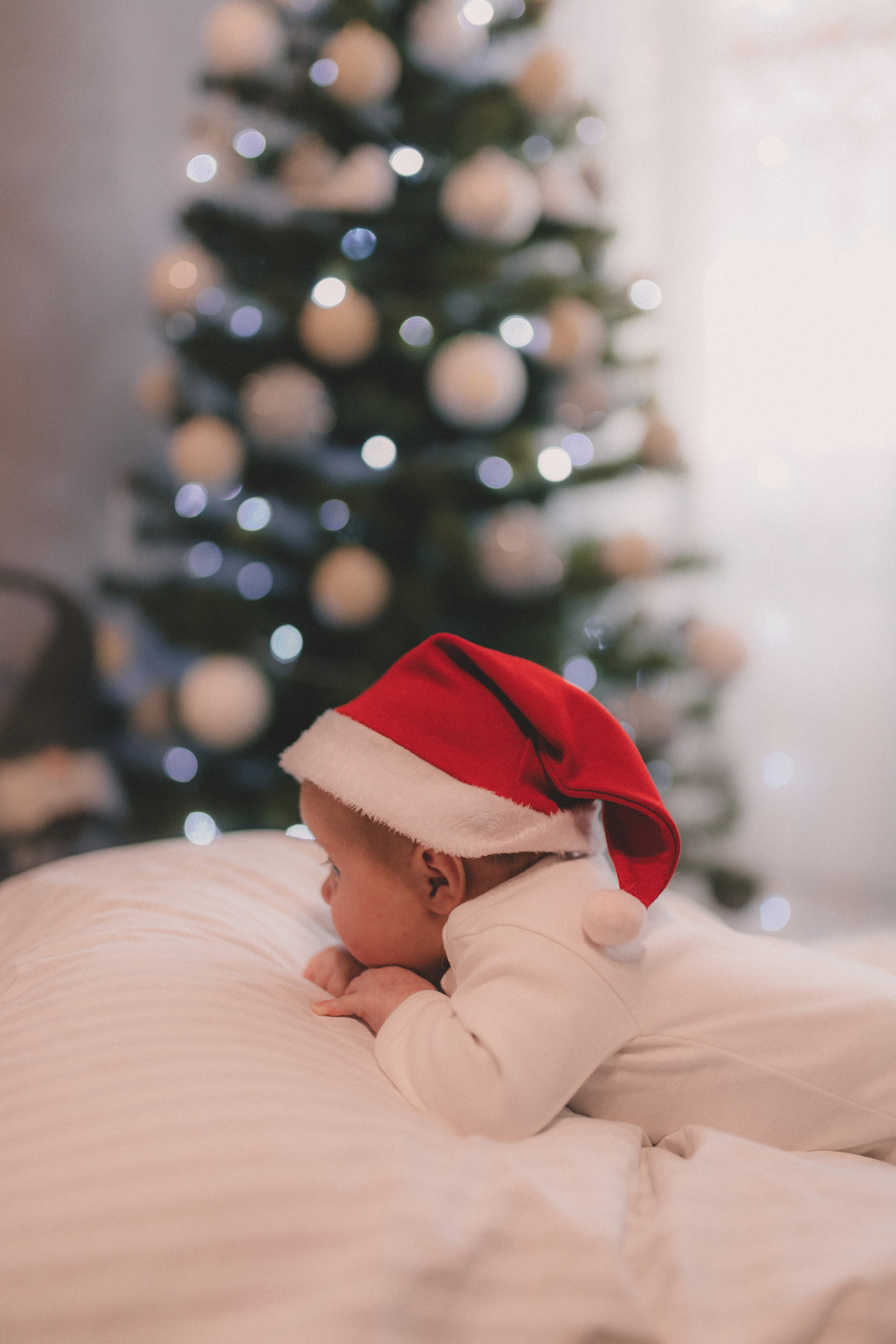 Злата. Семейный и свадебный фотограф в Харьков