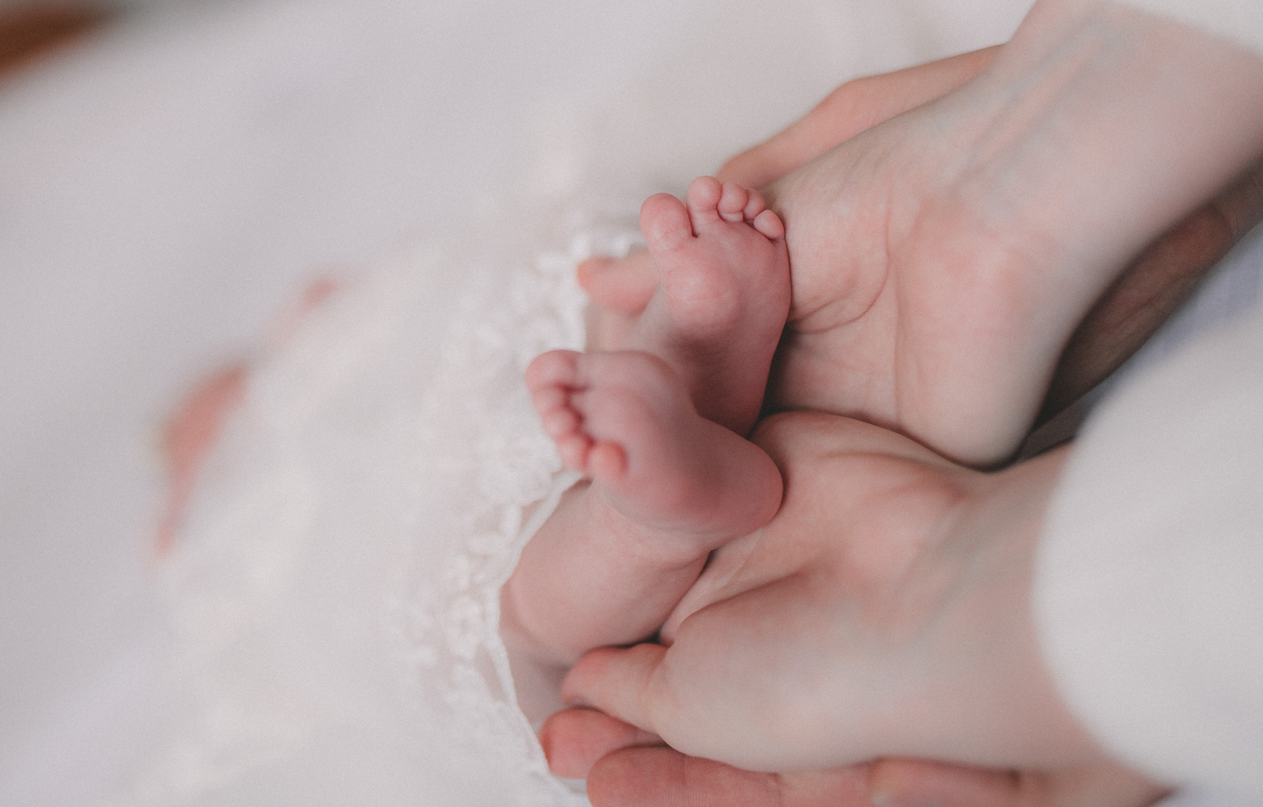 Злата Вера Саша. Семейный и свадебный фотограф в Харьков