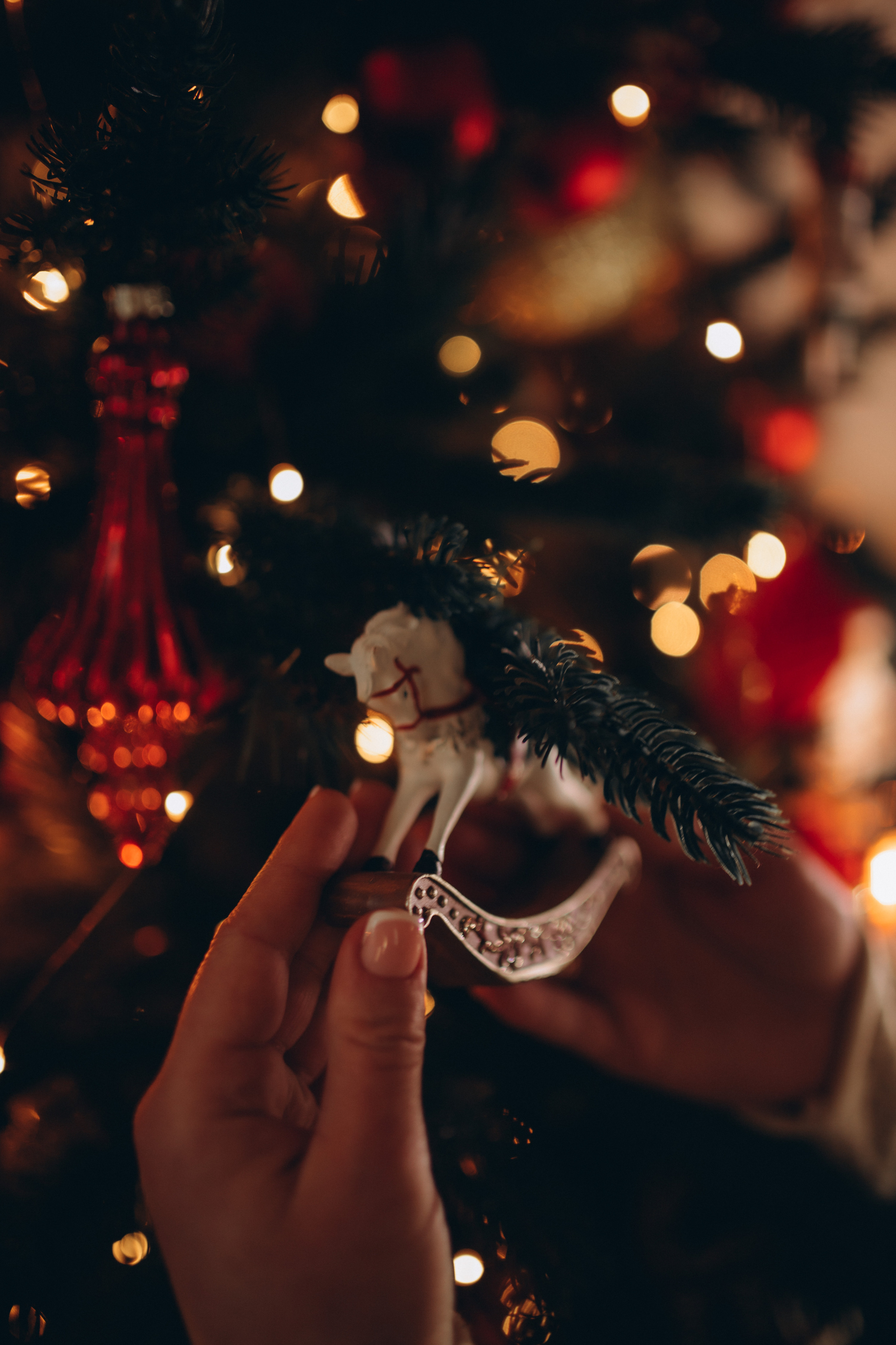 Олена. Семейный и свадебный фотограф в Харьков