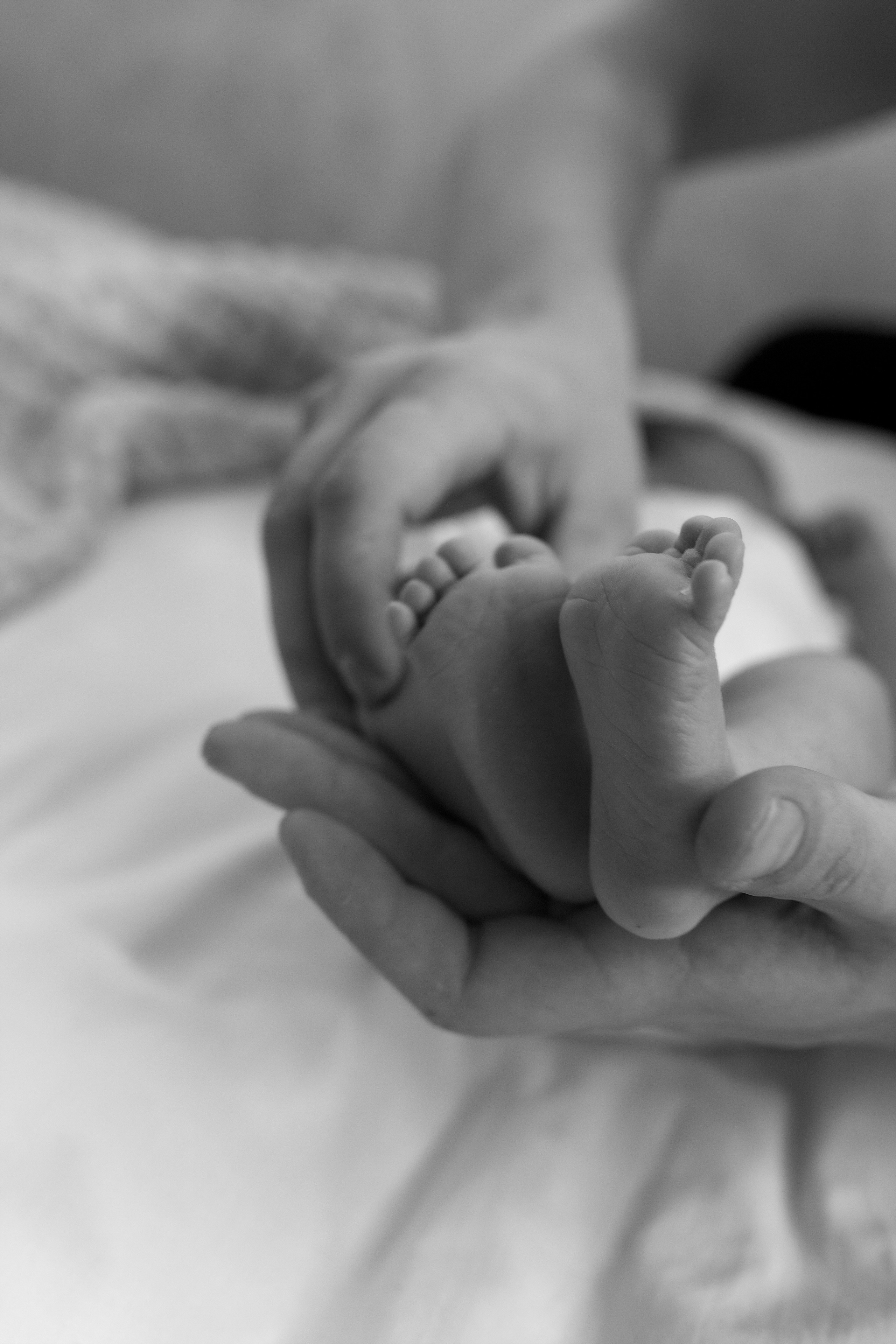 Даринка 7 днів. Семейный и свадебный фотограф в Харьков