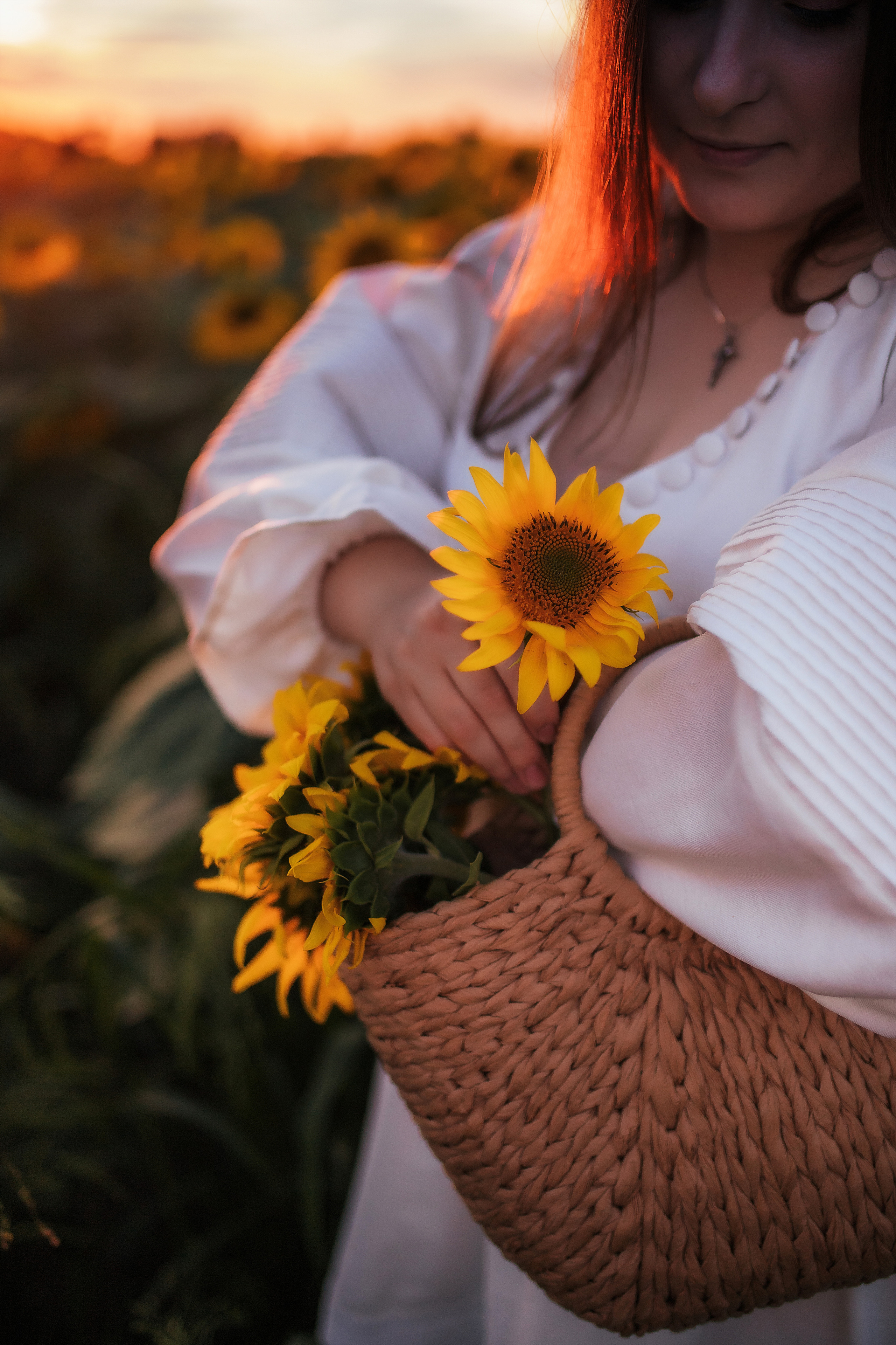 Вікторія і соняшники. Семейный и свадебный фотограф в Харьков