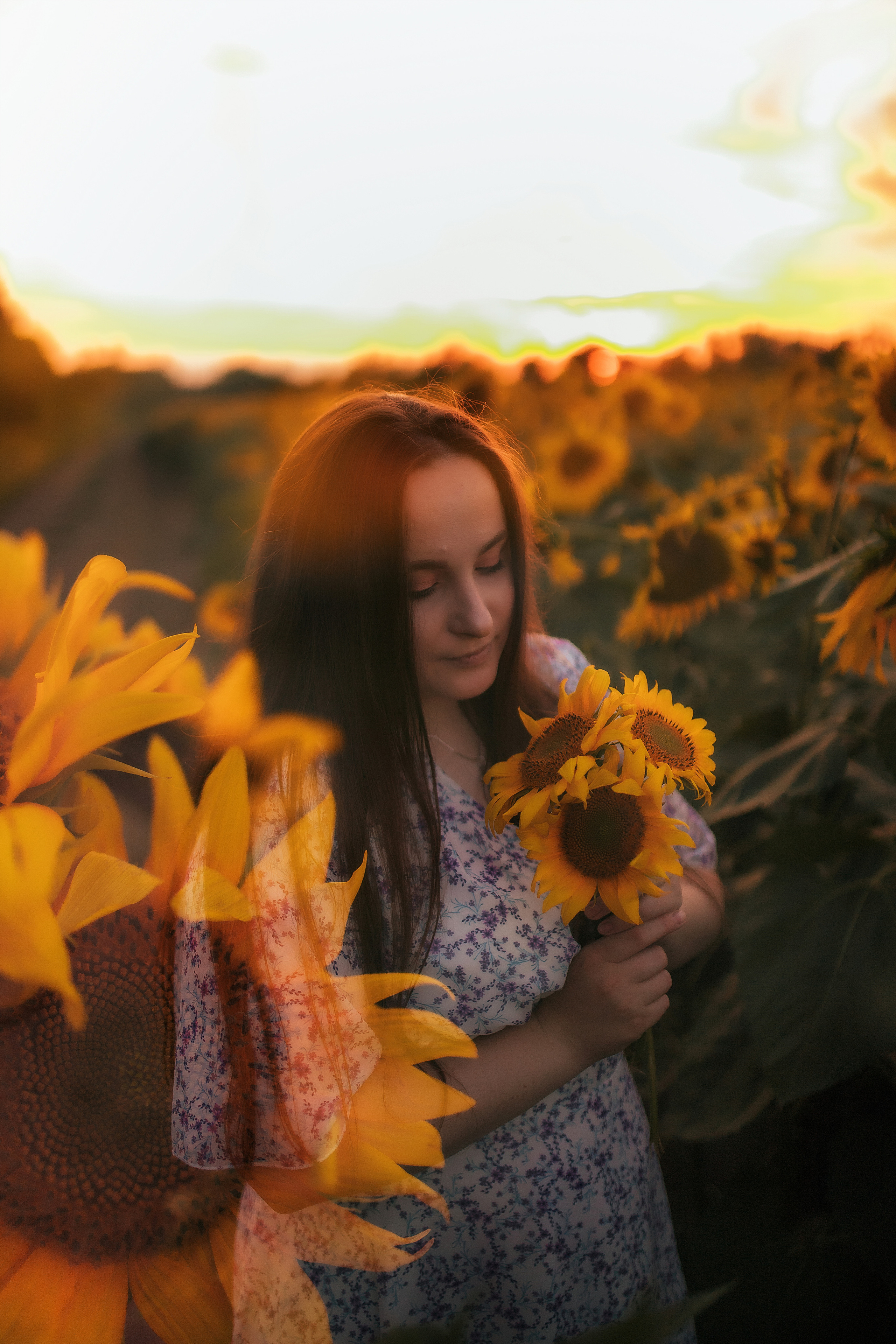 Вікторія і соняшники. Семейный и свадебный фотограф в Харьков