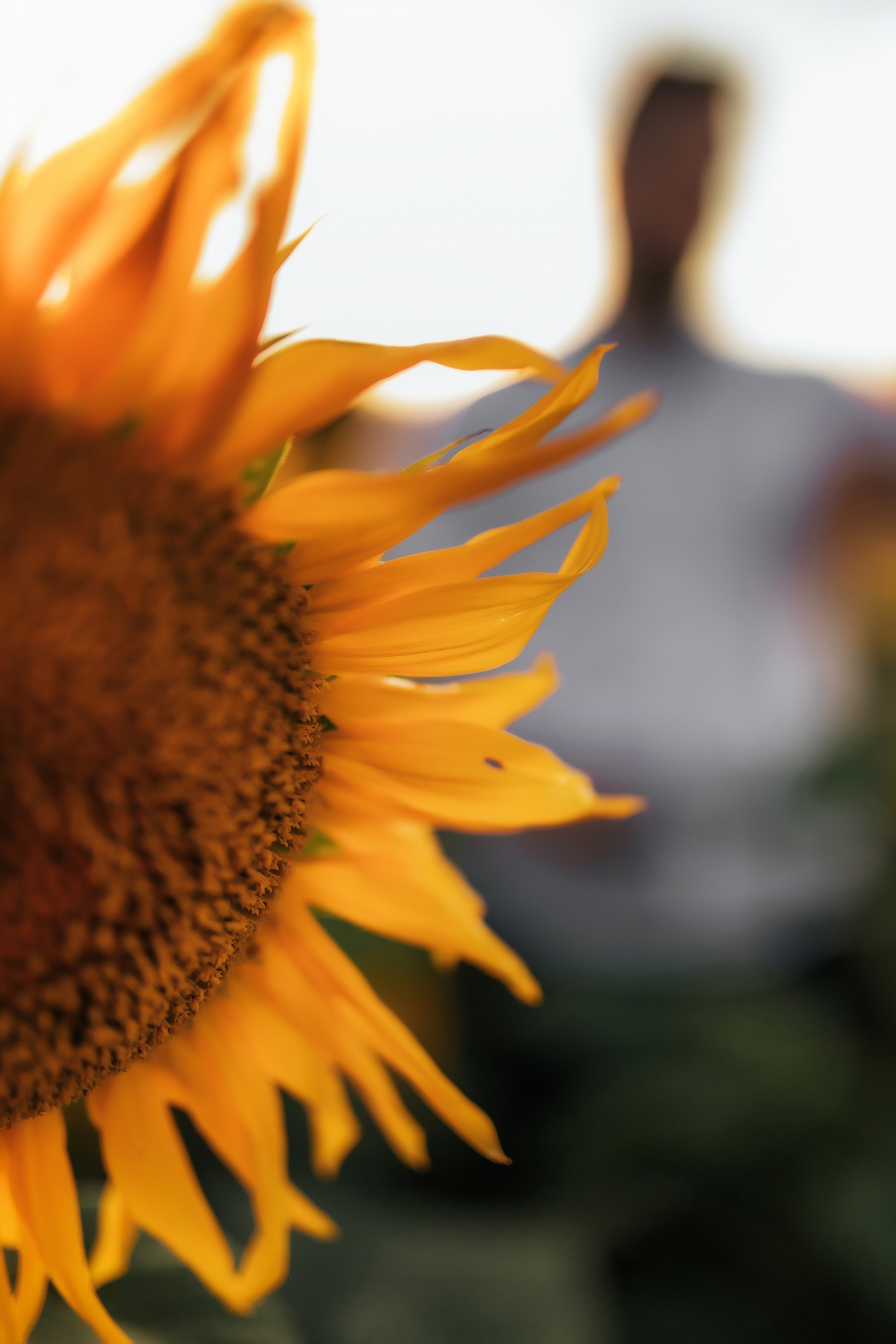 Артем. Семейный и свадебный фотограф в Харьков
