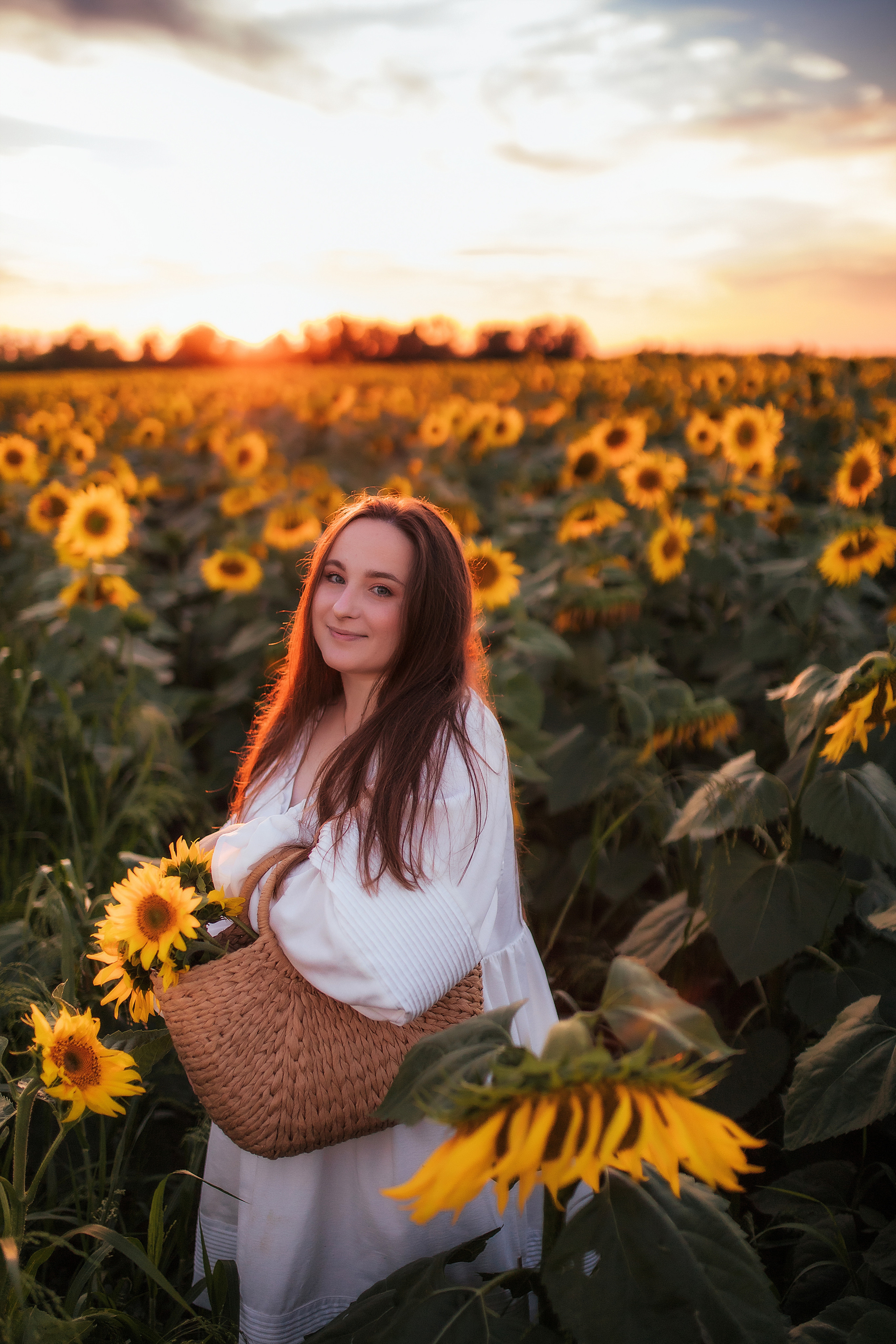 Вікторія і соняшники. Семейный и свадебный фотограф в Харьков
