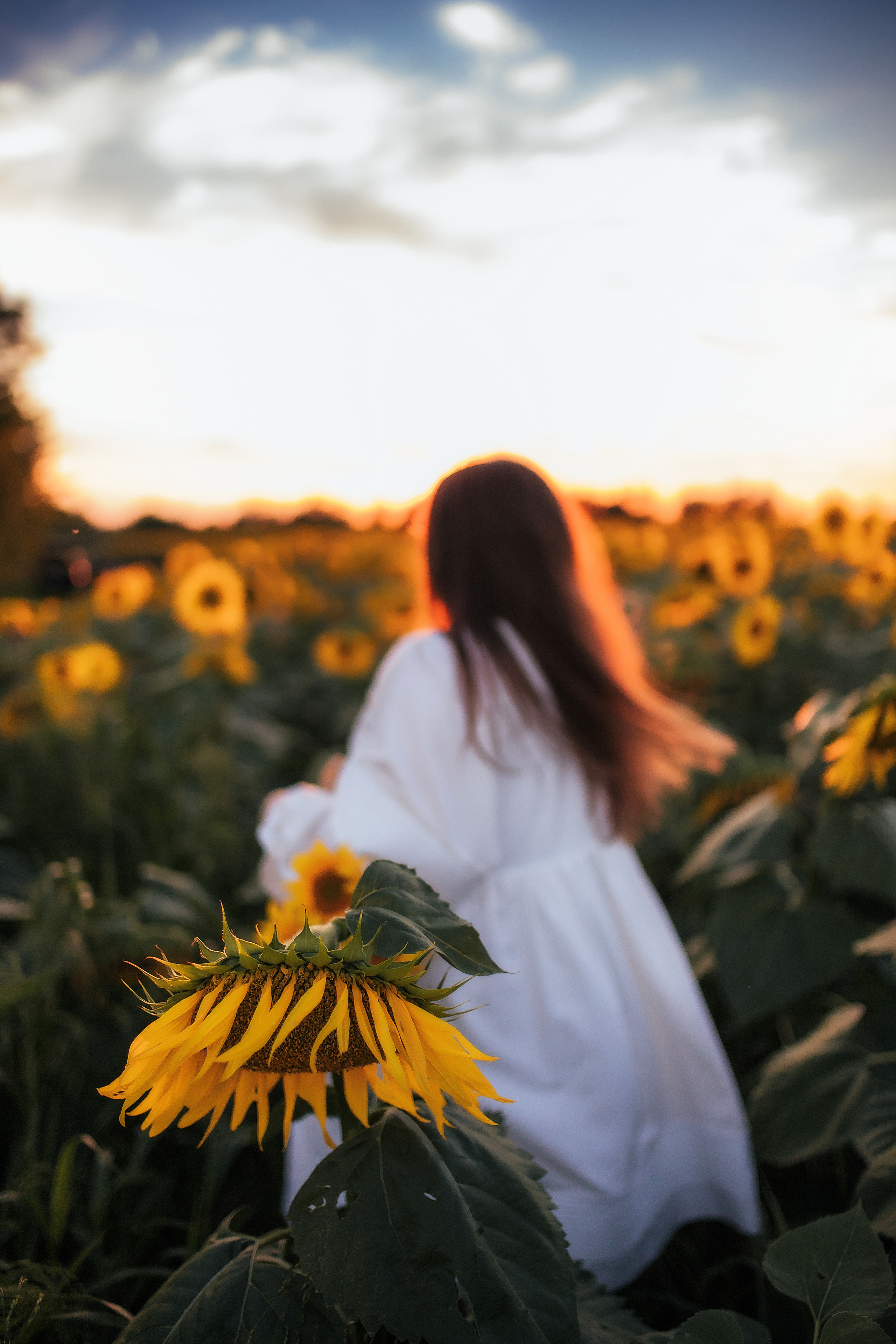 Вікторія і соняшники. Семейный и свадебный фотограф в Харьков