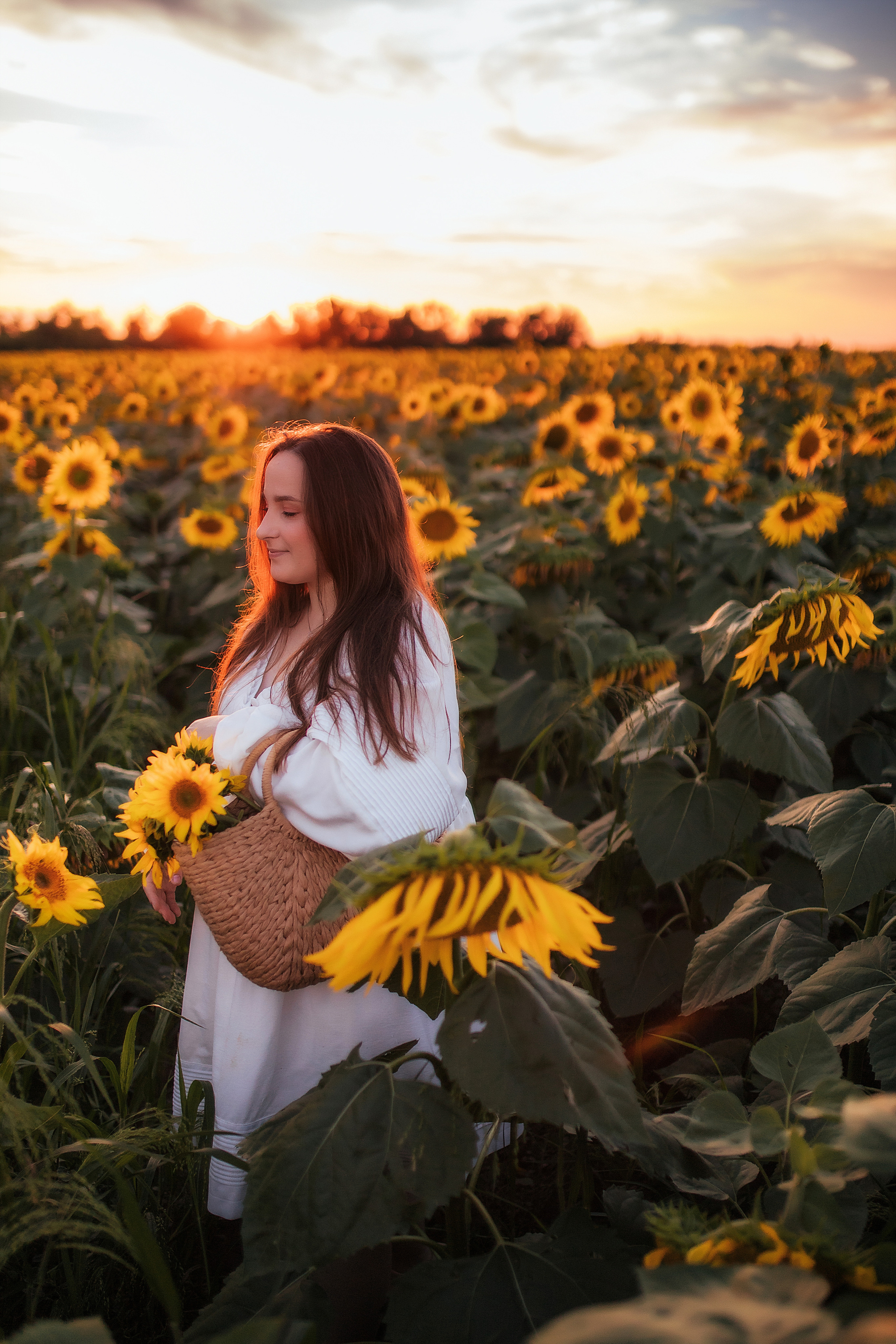 Вікторія і соняшники. Семейный и свадебный фотограф в Харьков
