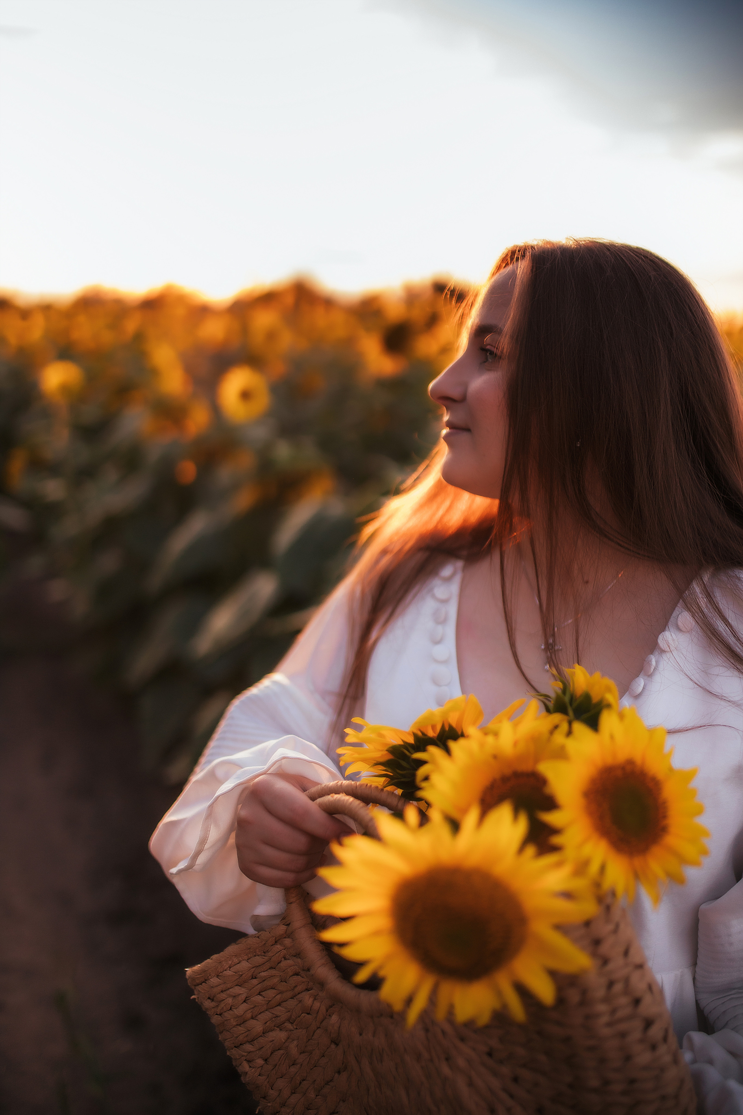 Вікторія і соняшники. Семейный и свадебный фотограф в Харьков
