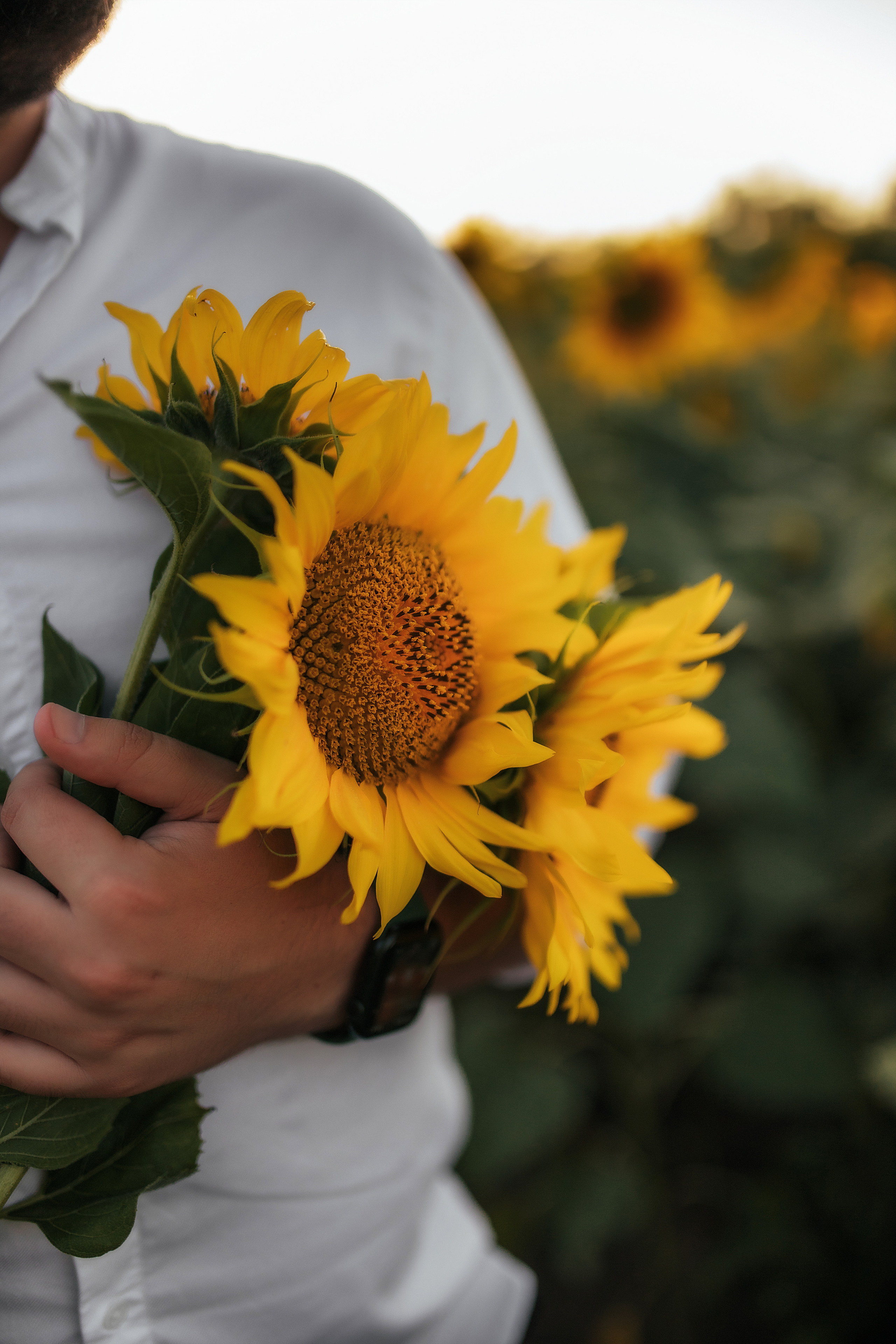 Артем. Семейный и свадебный фотограф в Харьков