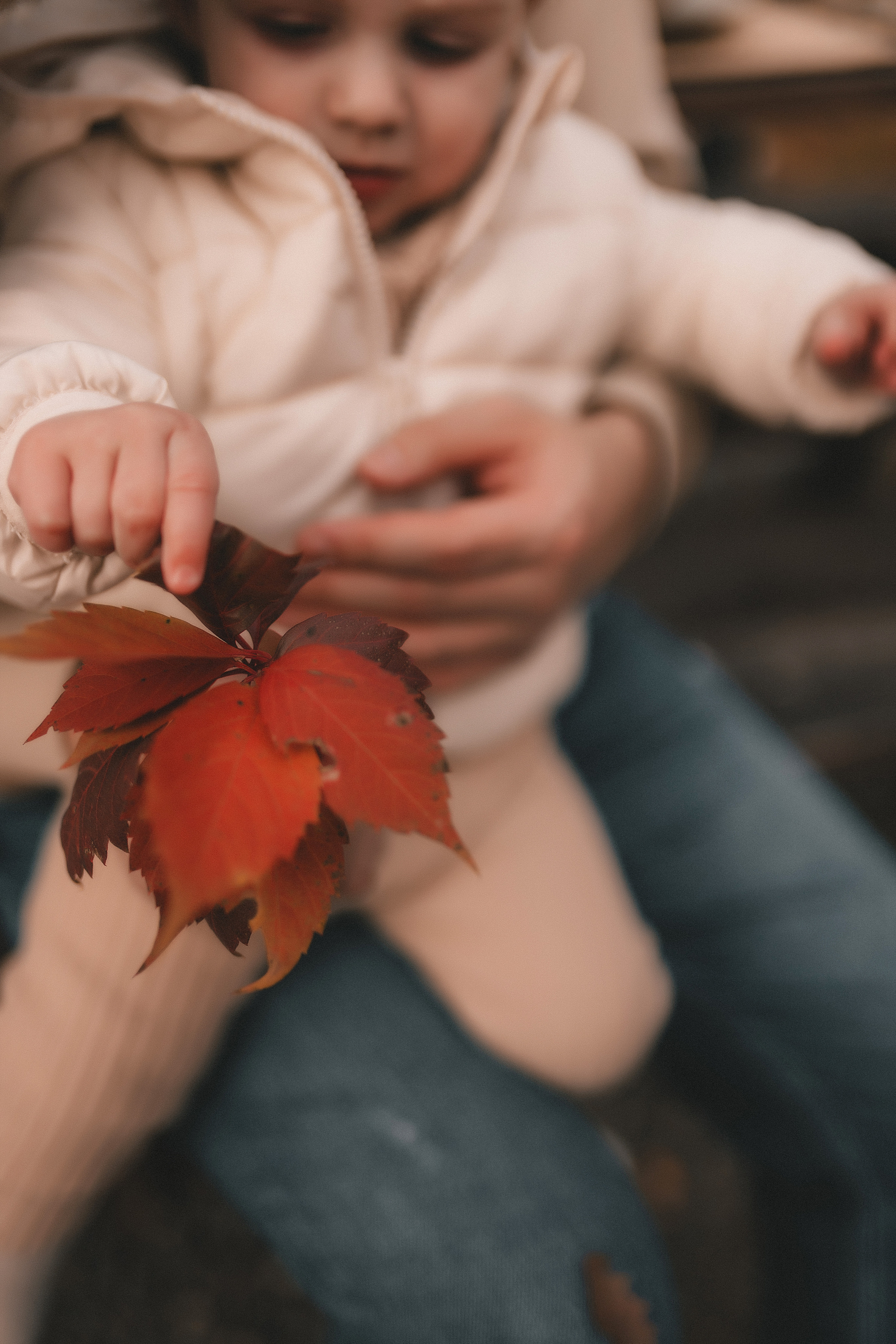 Эрик Кристина Аделина. Семейный и свадебный фотограф в Харьков