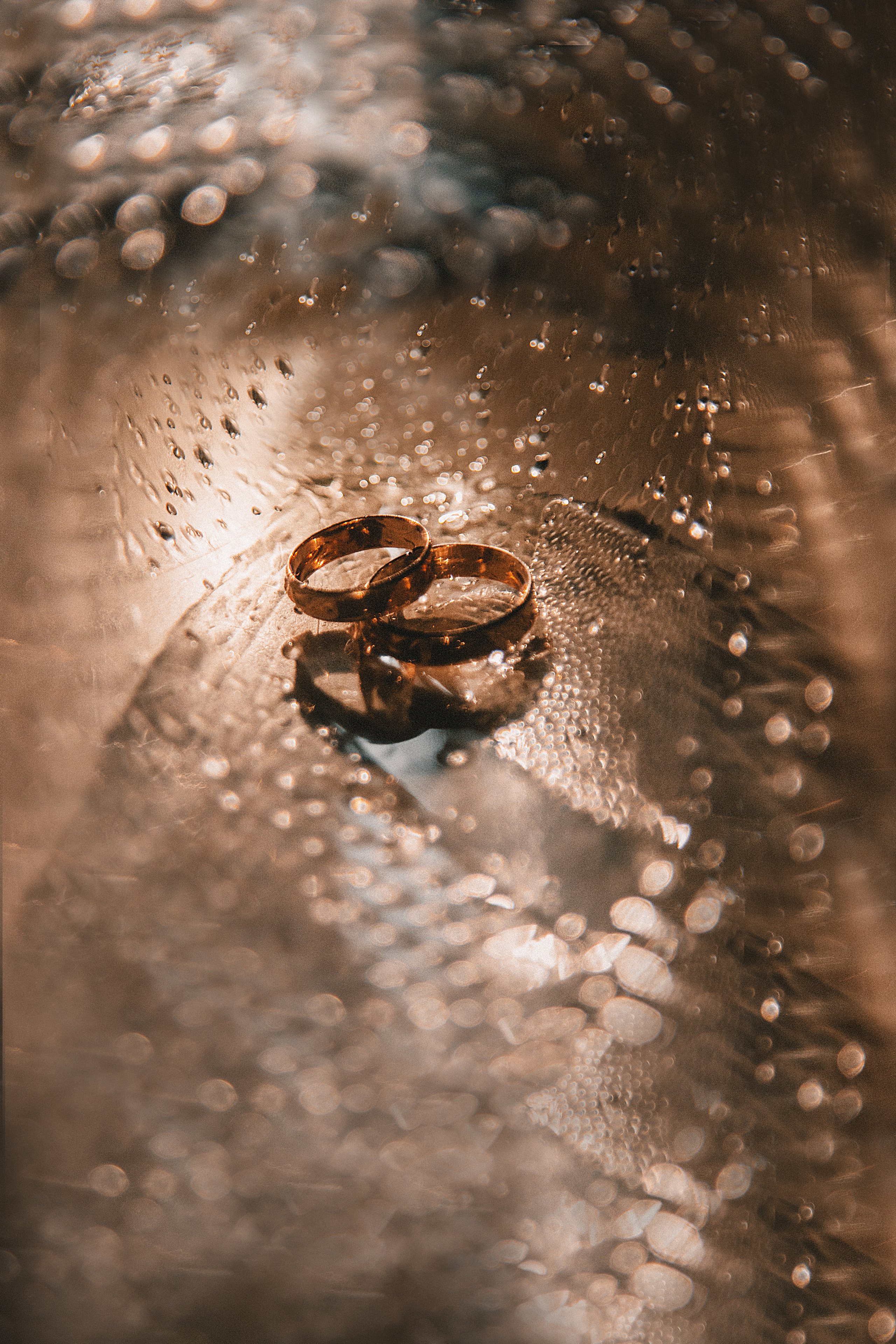 Семейный и свадебный фотограф в Харьков