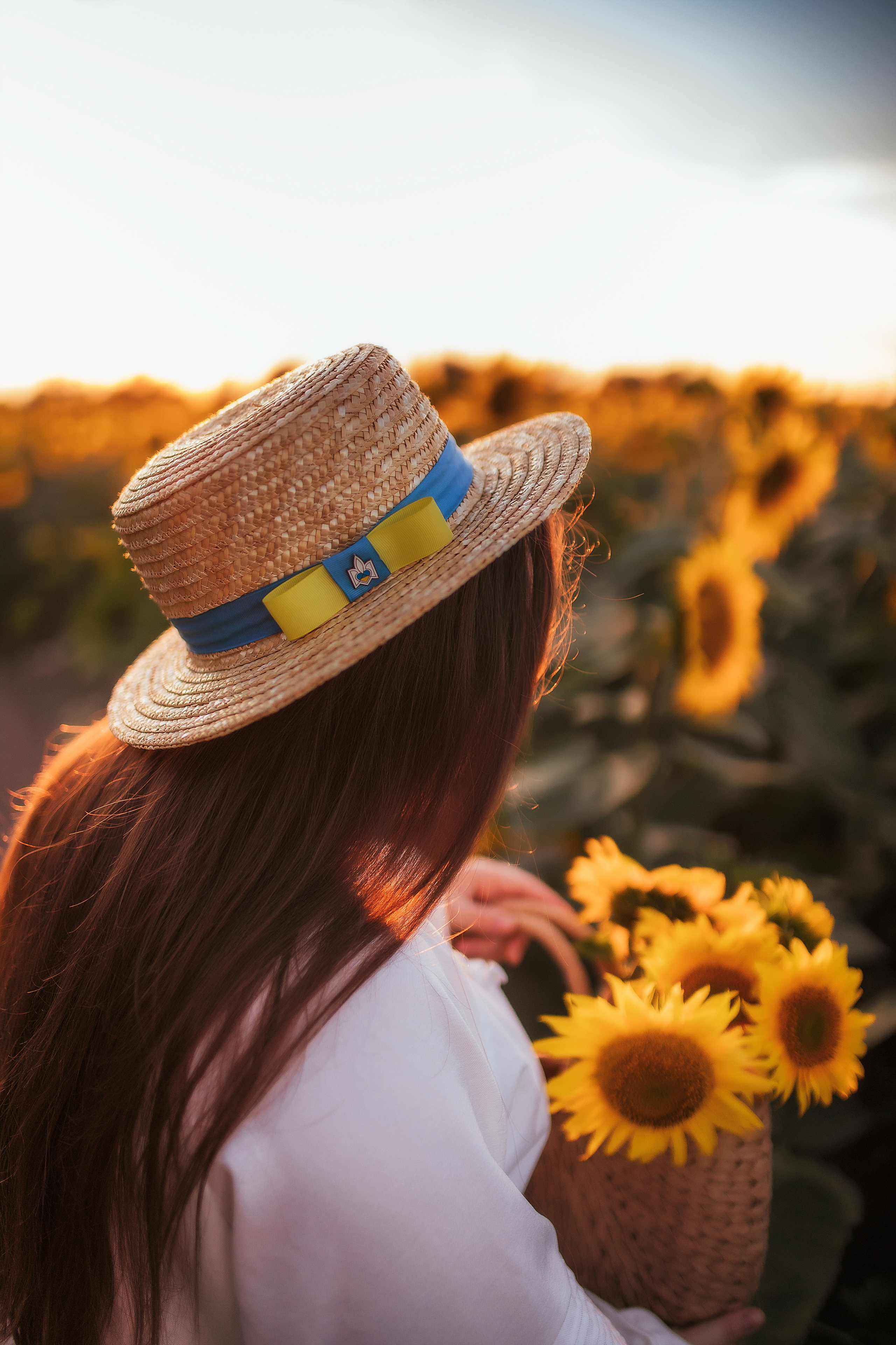 Вікторія і соняшники. Семейный и свадебный фотограф в Харьков
