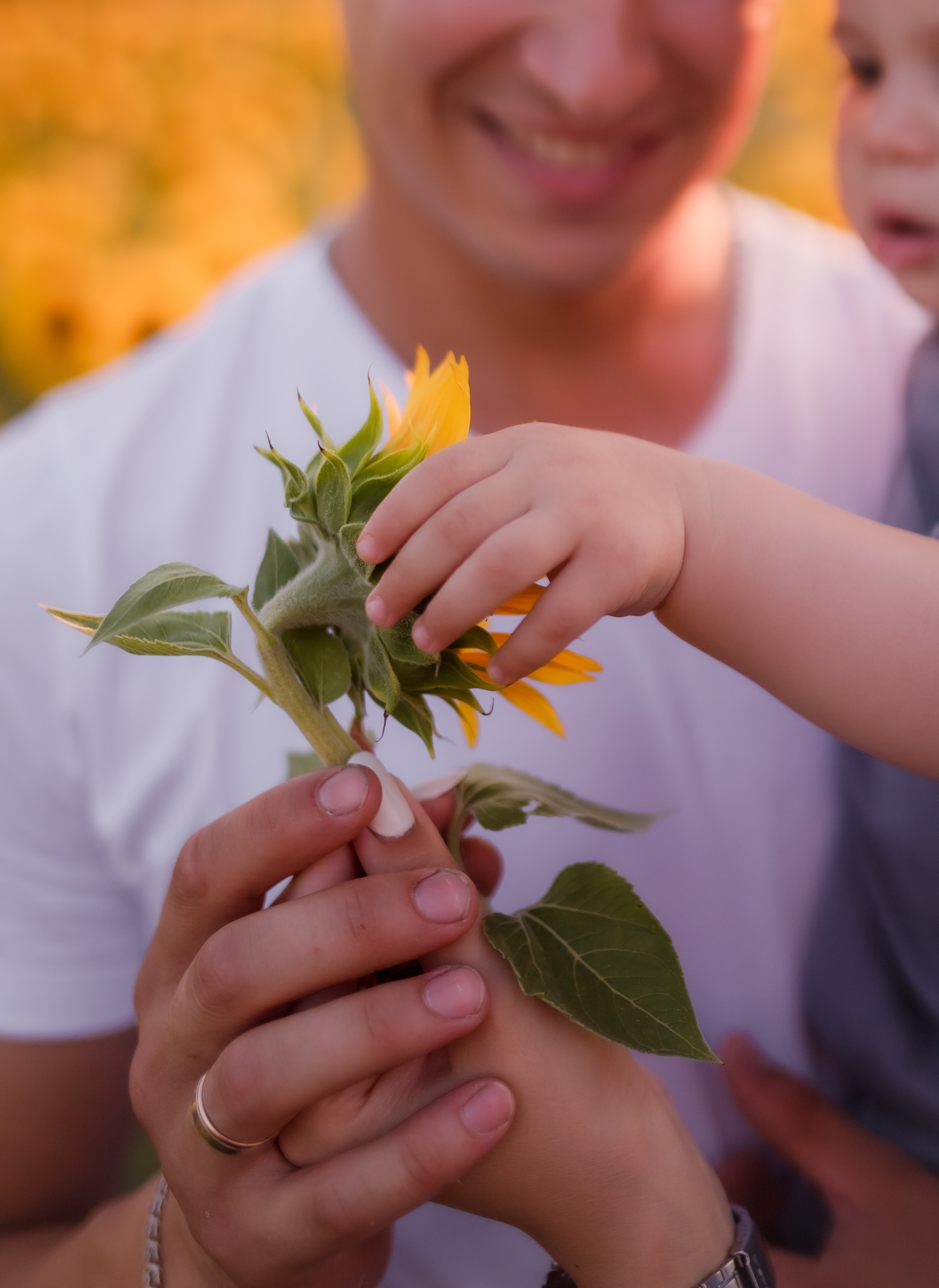 Сімейна літня історія. Семейный и свадебный фотограф в Харьков