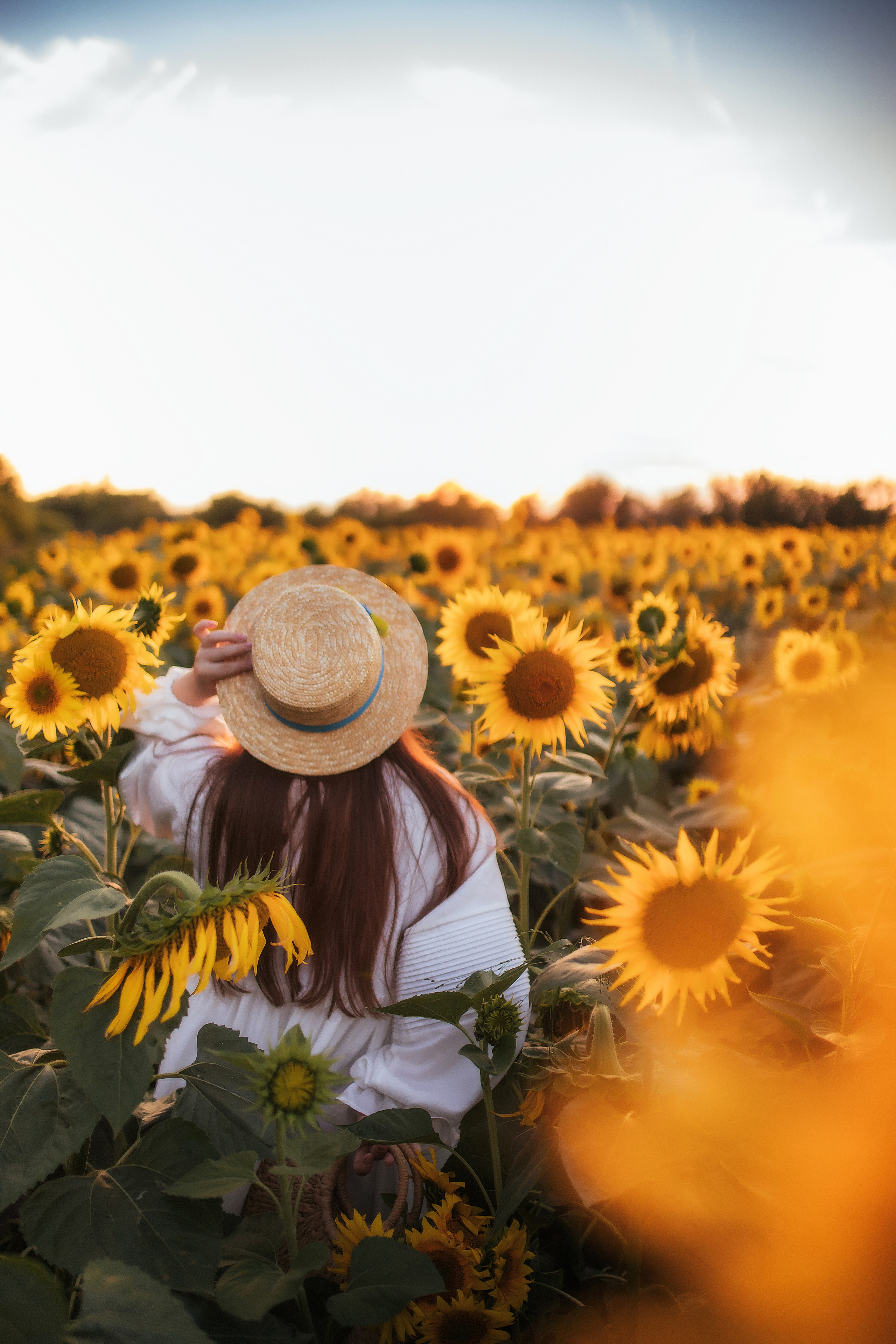 Вікторія і соняшники. Семейный и свадебный фотограф в Харьков