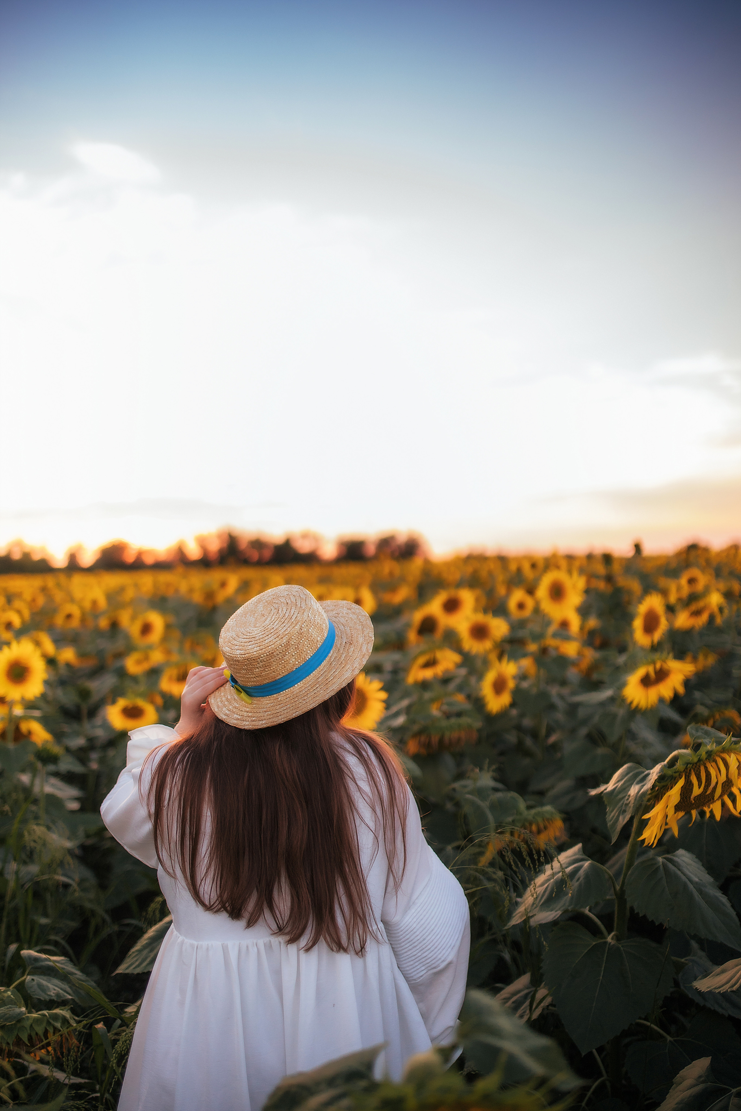 Вікторія і соняшники. Семейный и свадебный фотограф в Харьков