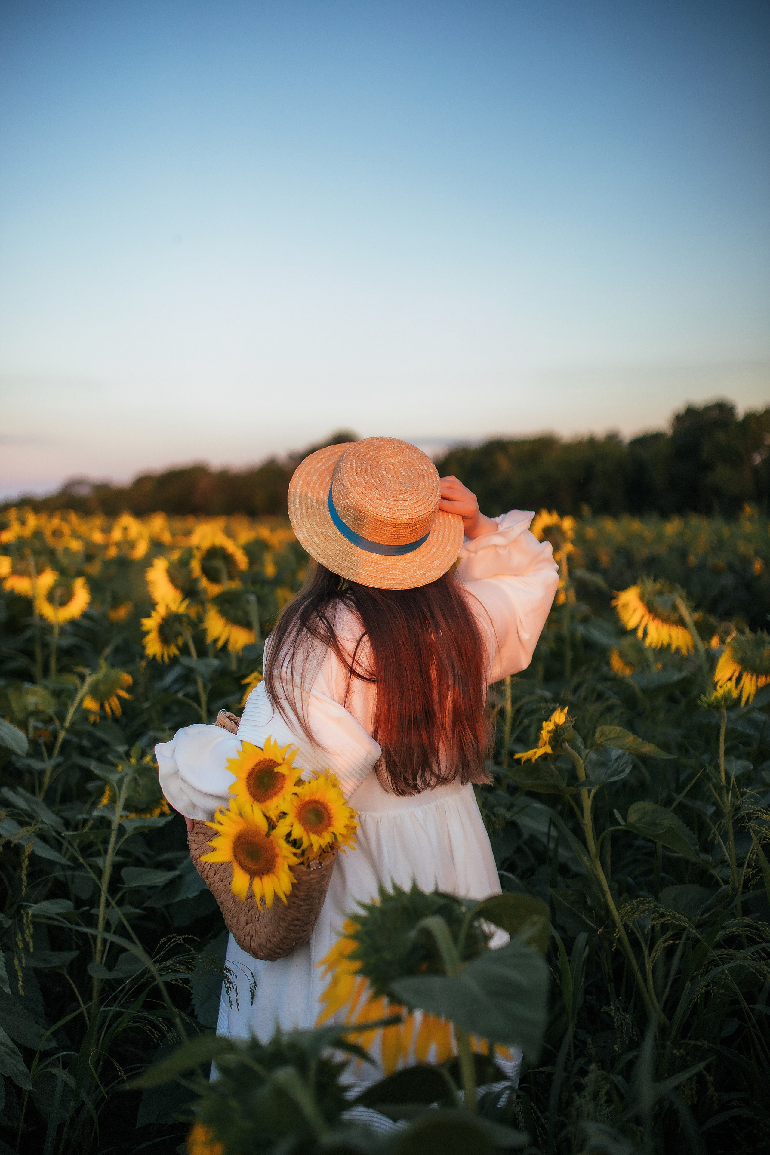 Вікторія і соняшники. Семейный и свадебный фотограф в Харьков