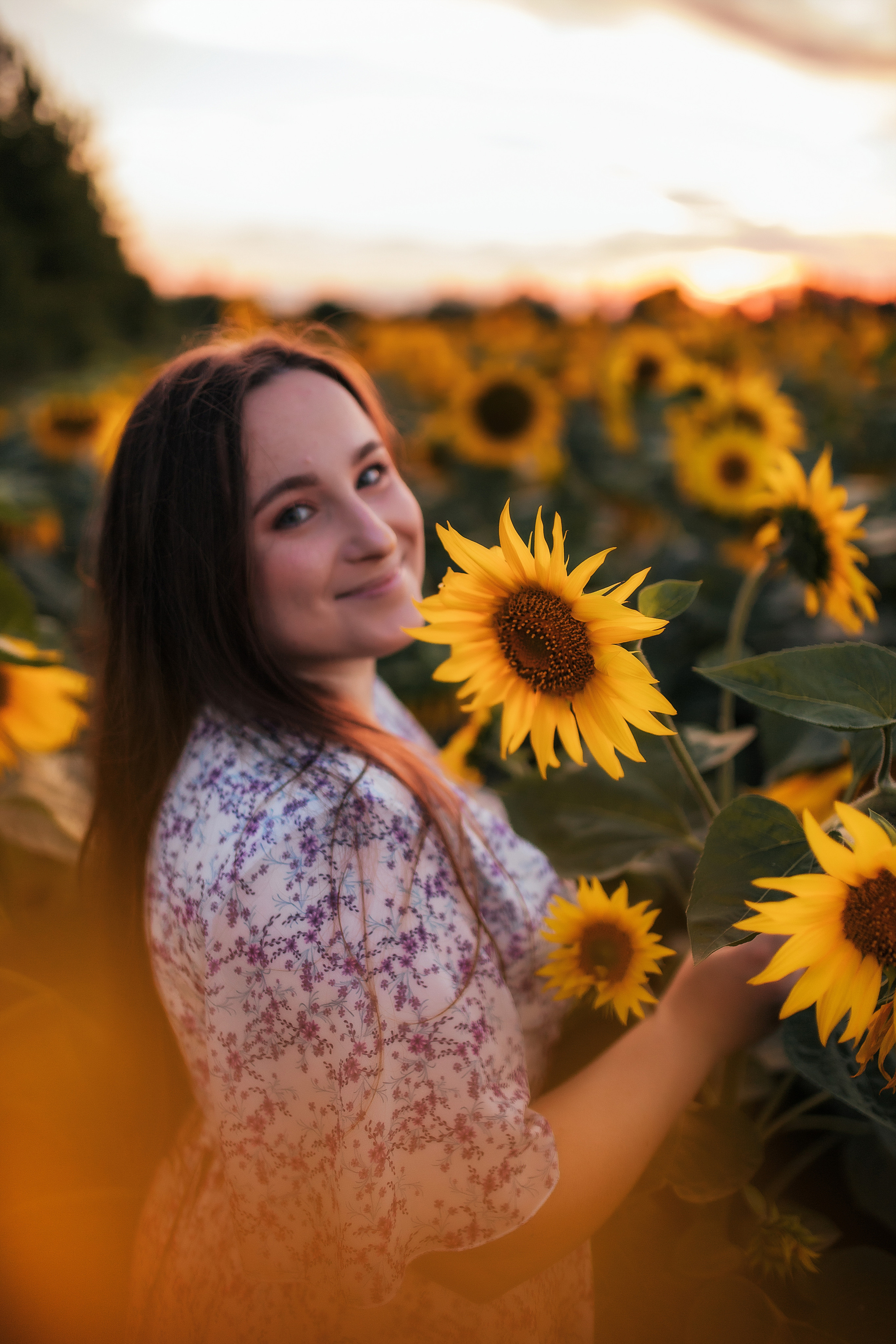 Вікторія і соняшники. Семейный и свадебный фотограф в Харьков