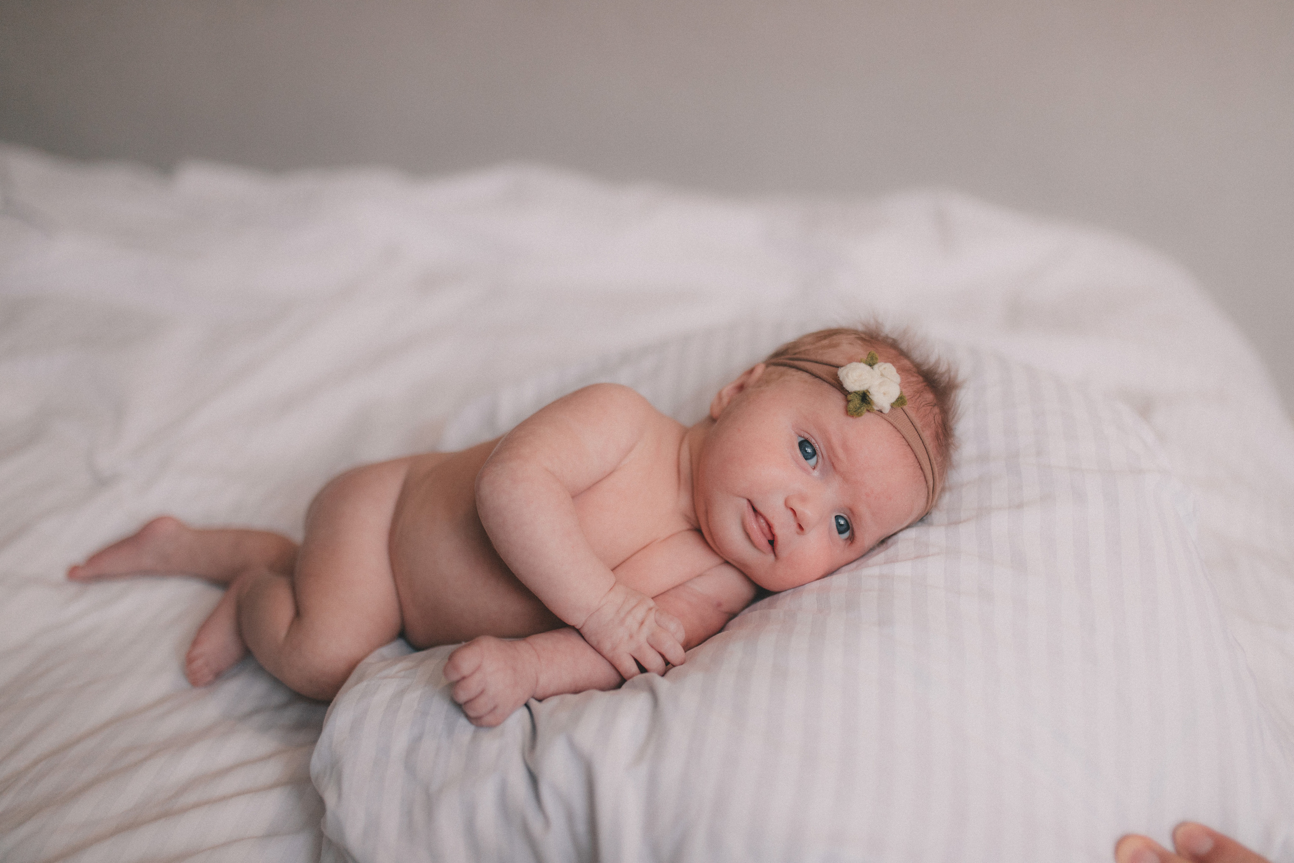 Злата Вера Саша. Семейный и свадебный фотограф в Харьков