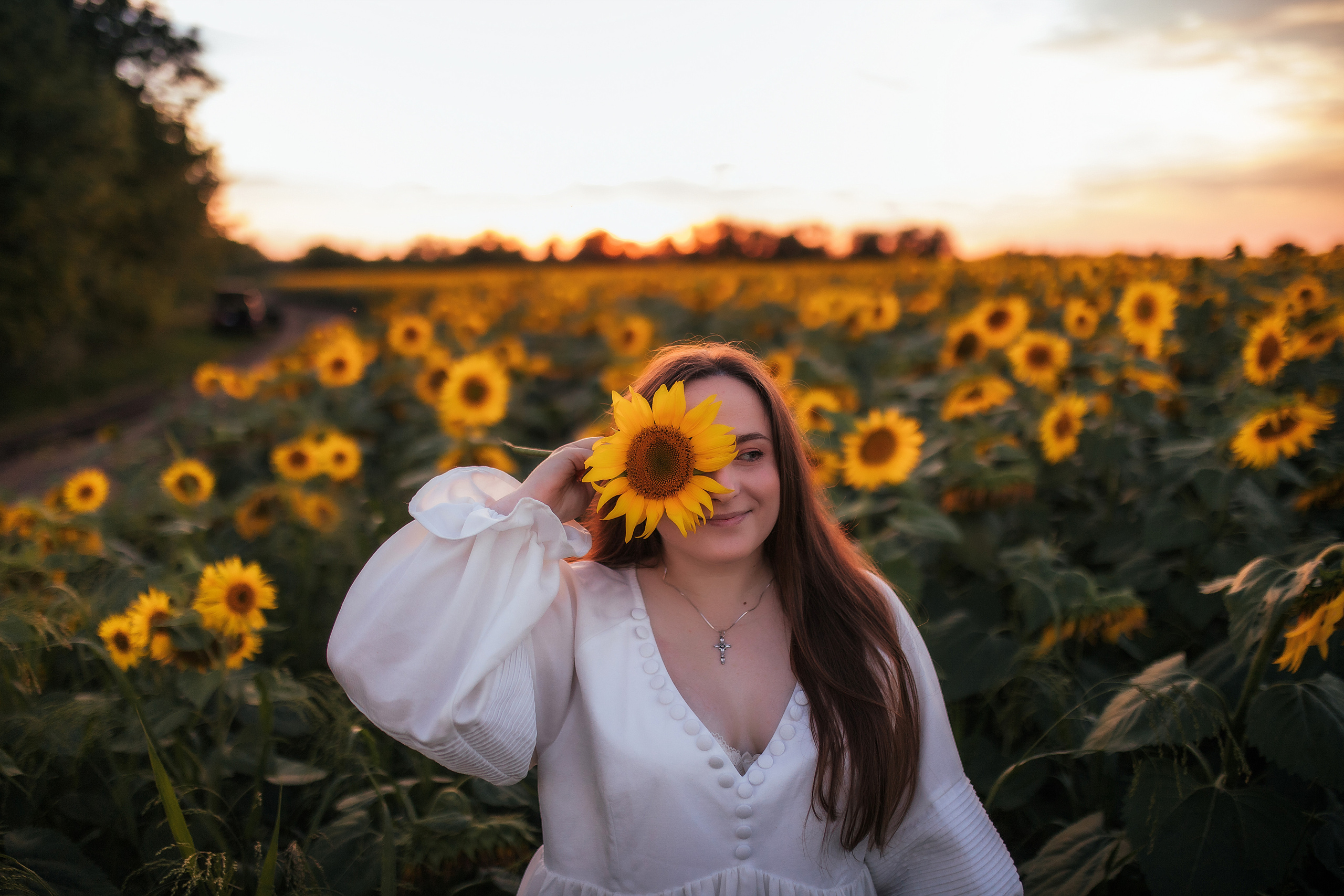 Вікторія і соняшники. Семейный и свадебный фотограф в Харьков
