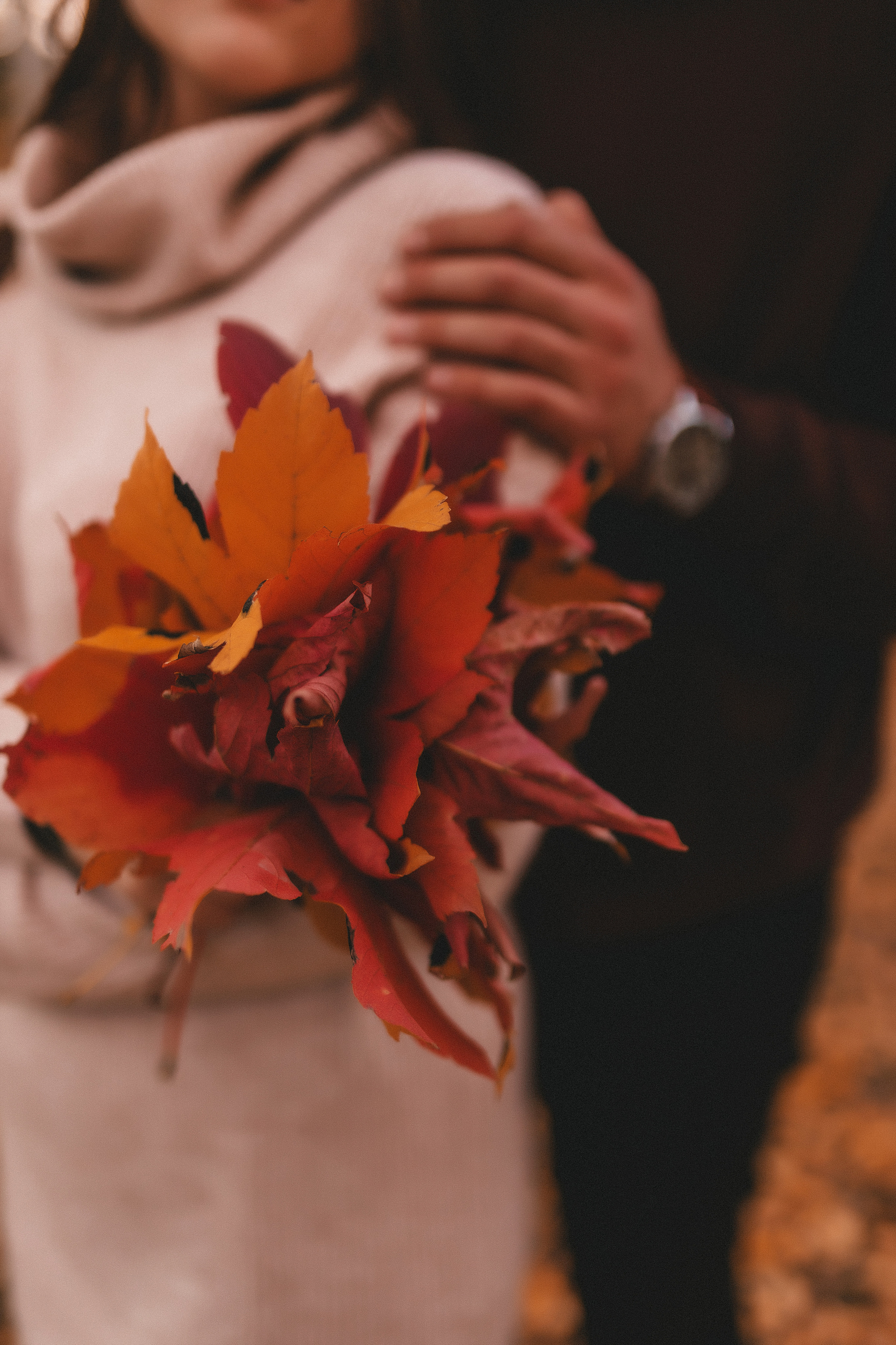 Александр Анастасия. Семейный и свадебный фотограф в Харьков