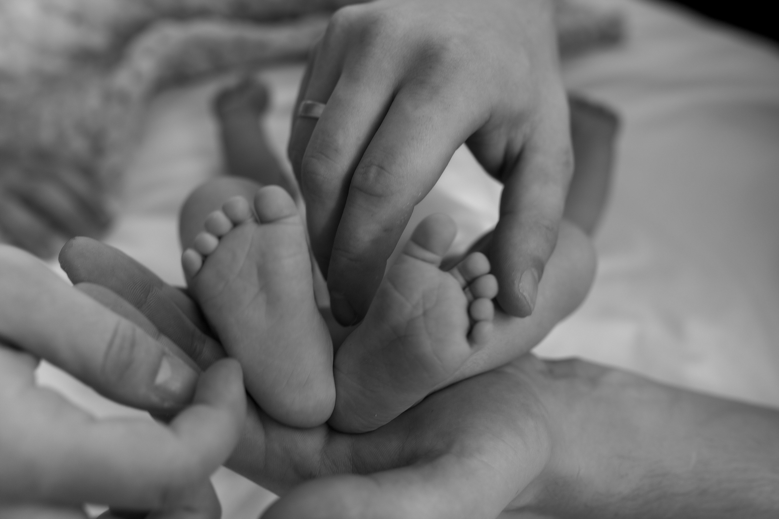 Даринка 7 днів. Семейный и свадебный фотограф в Харьков