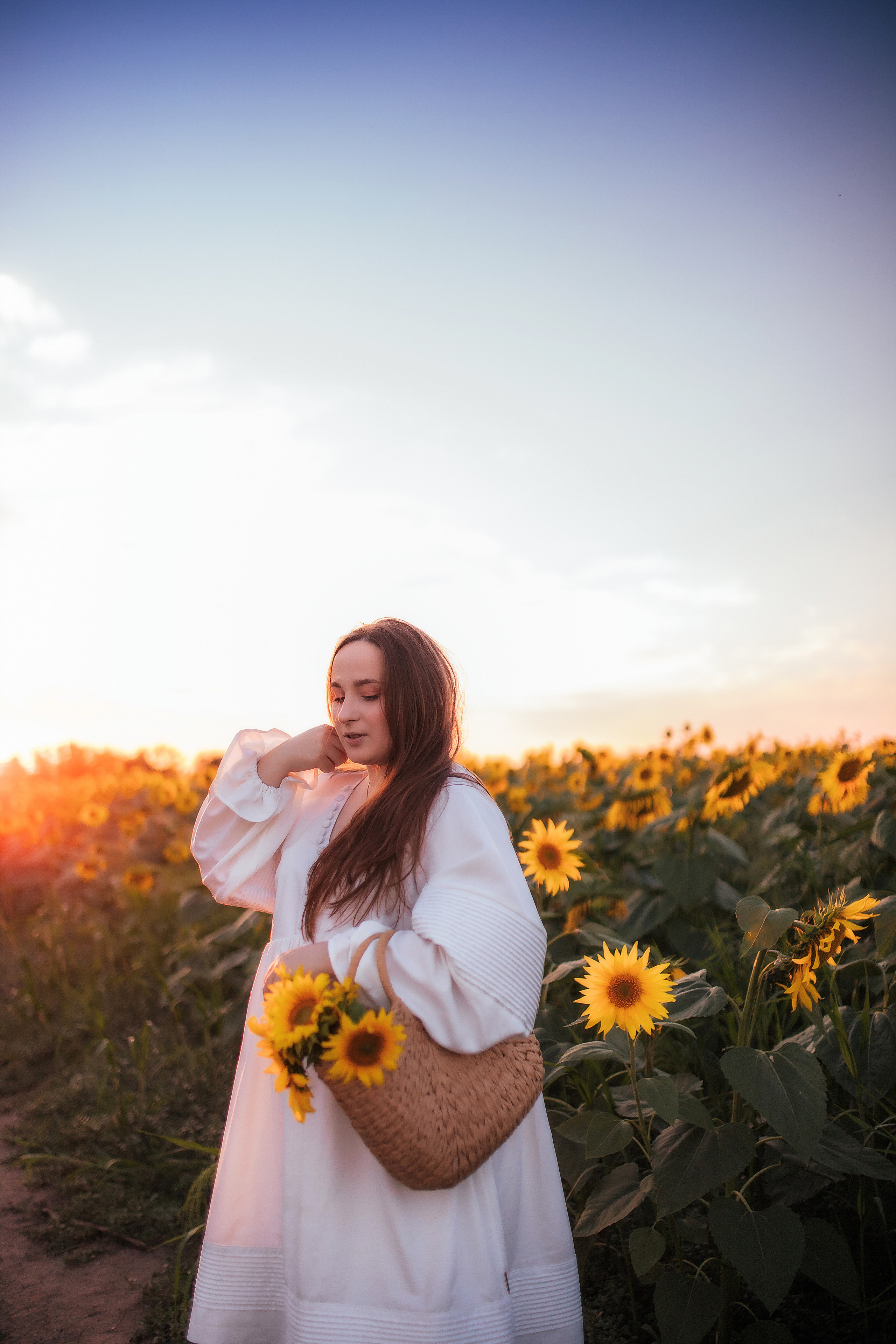 Вікторія і соняшники. Семейный и свадебный фотограф в Харьков
