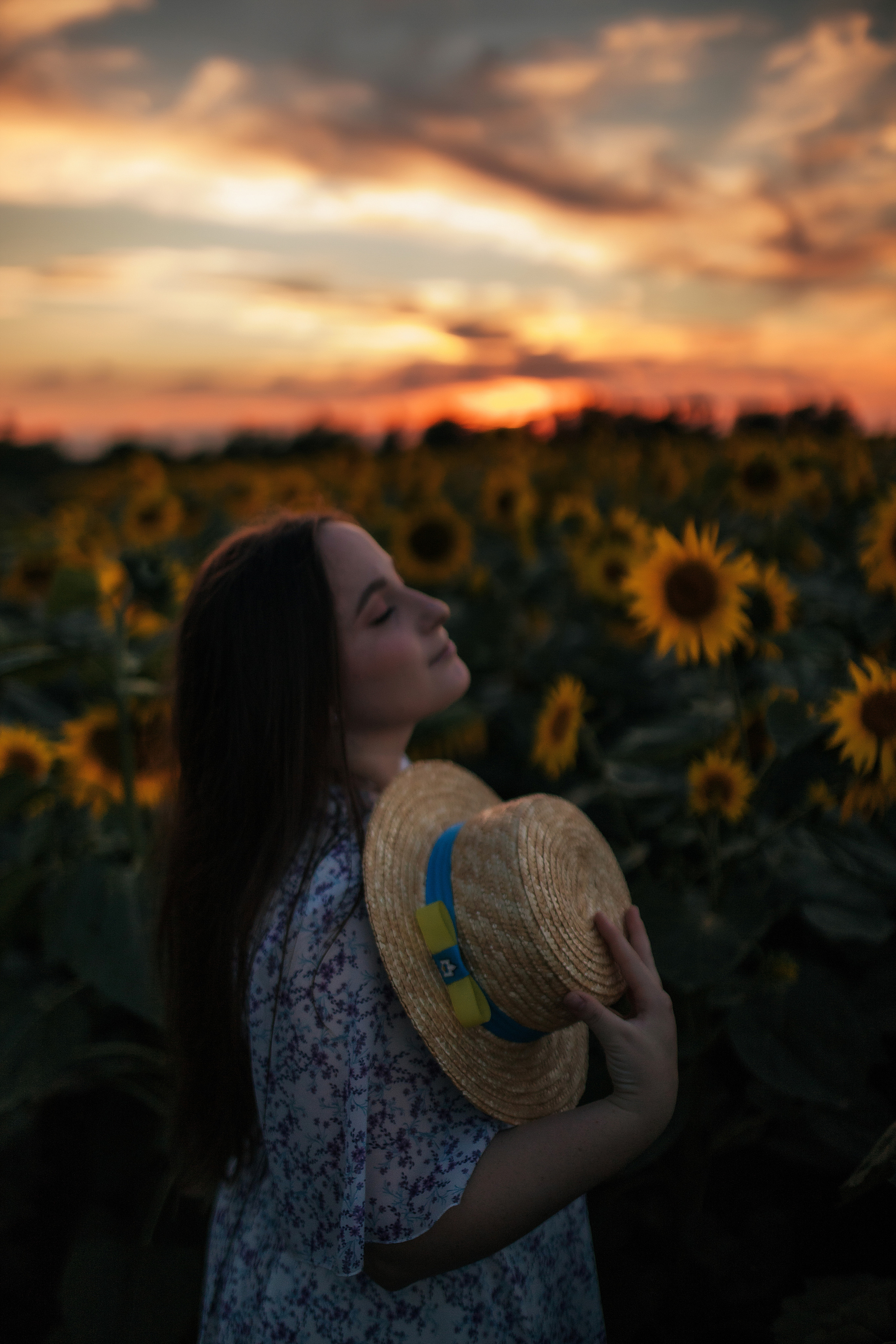 Вікторія і соняшники. Семейный и свадебный фотограф в Харьков