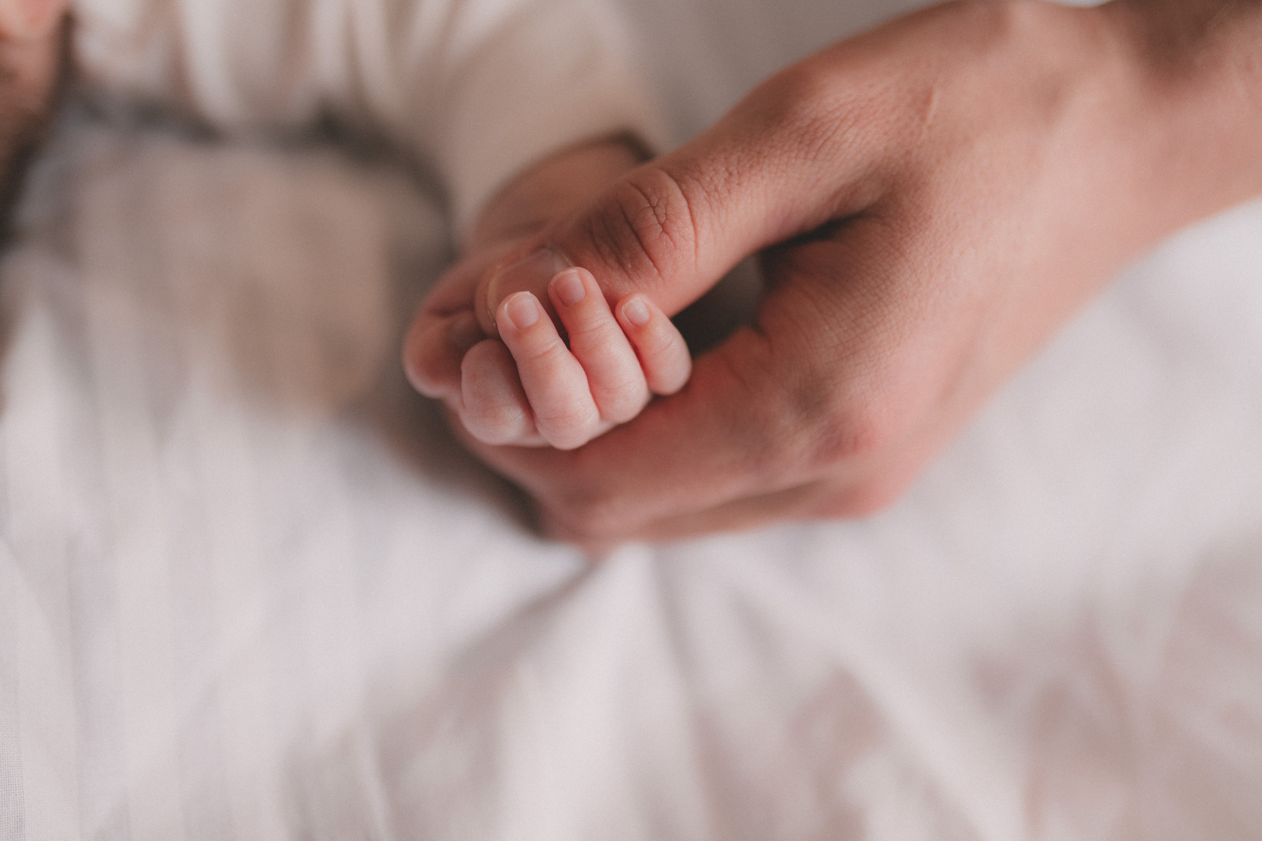 Злата Вера Саша. Семейный и свадебный фотограф в Харьков