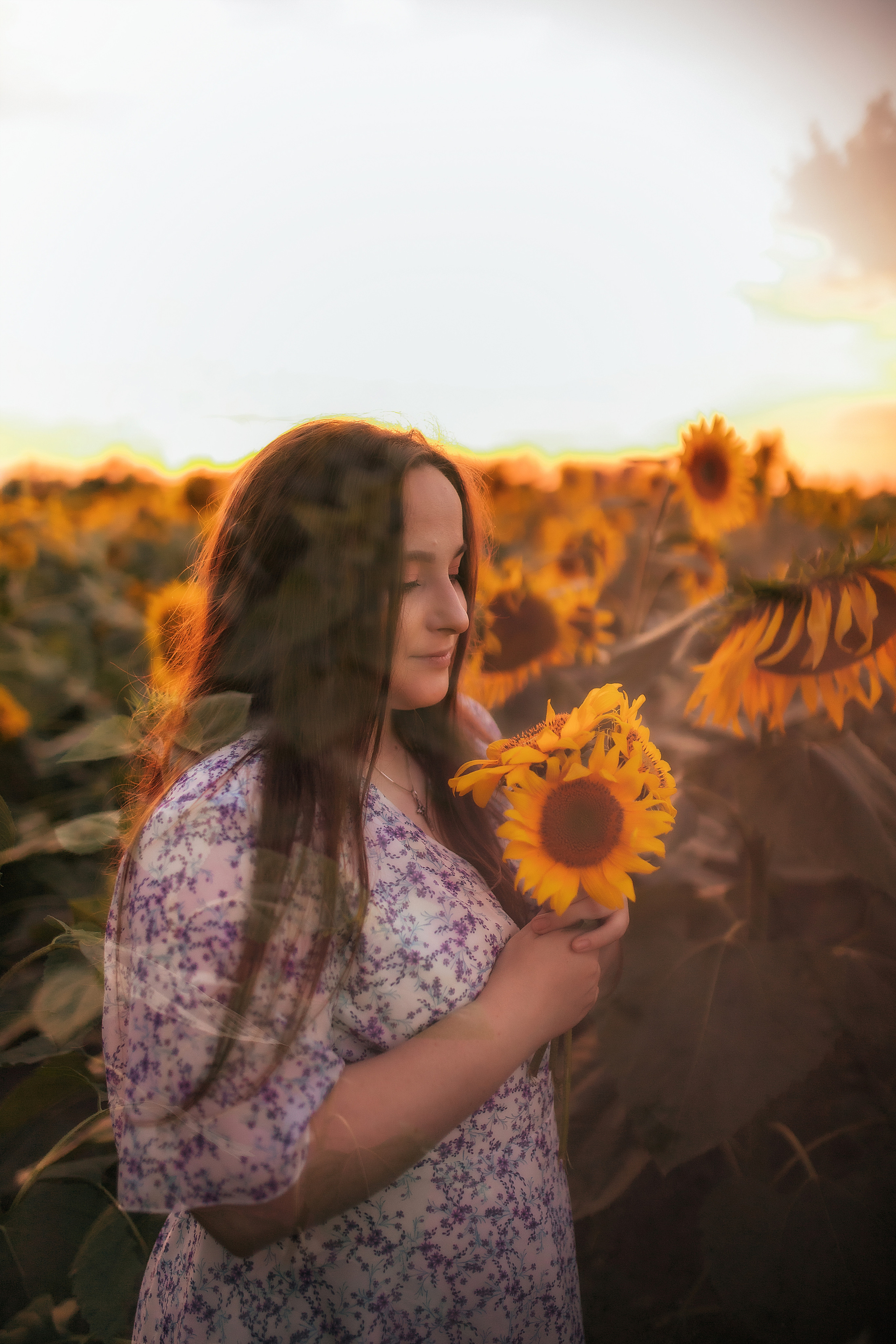 Вікторія і соняшники. Семейный и свадебный фотограф в Харьков