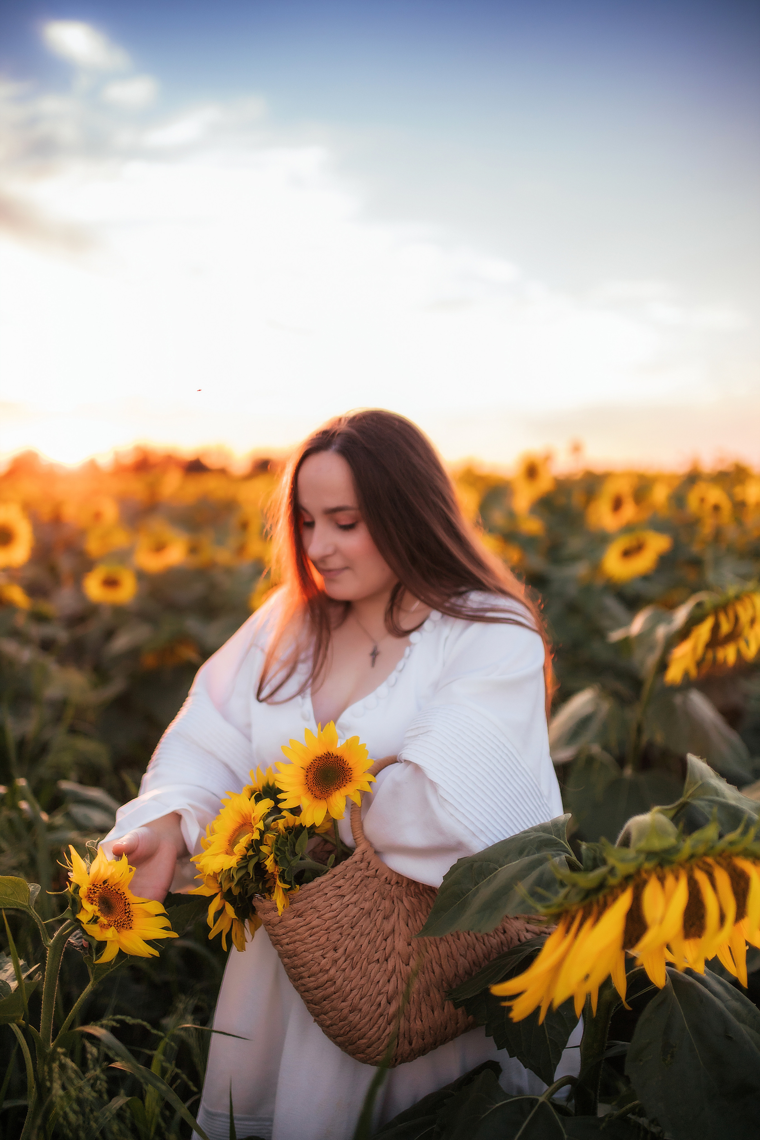 Вікторія і соняшники. Семейный и свадебный фотограф в Харьков