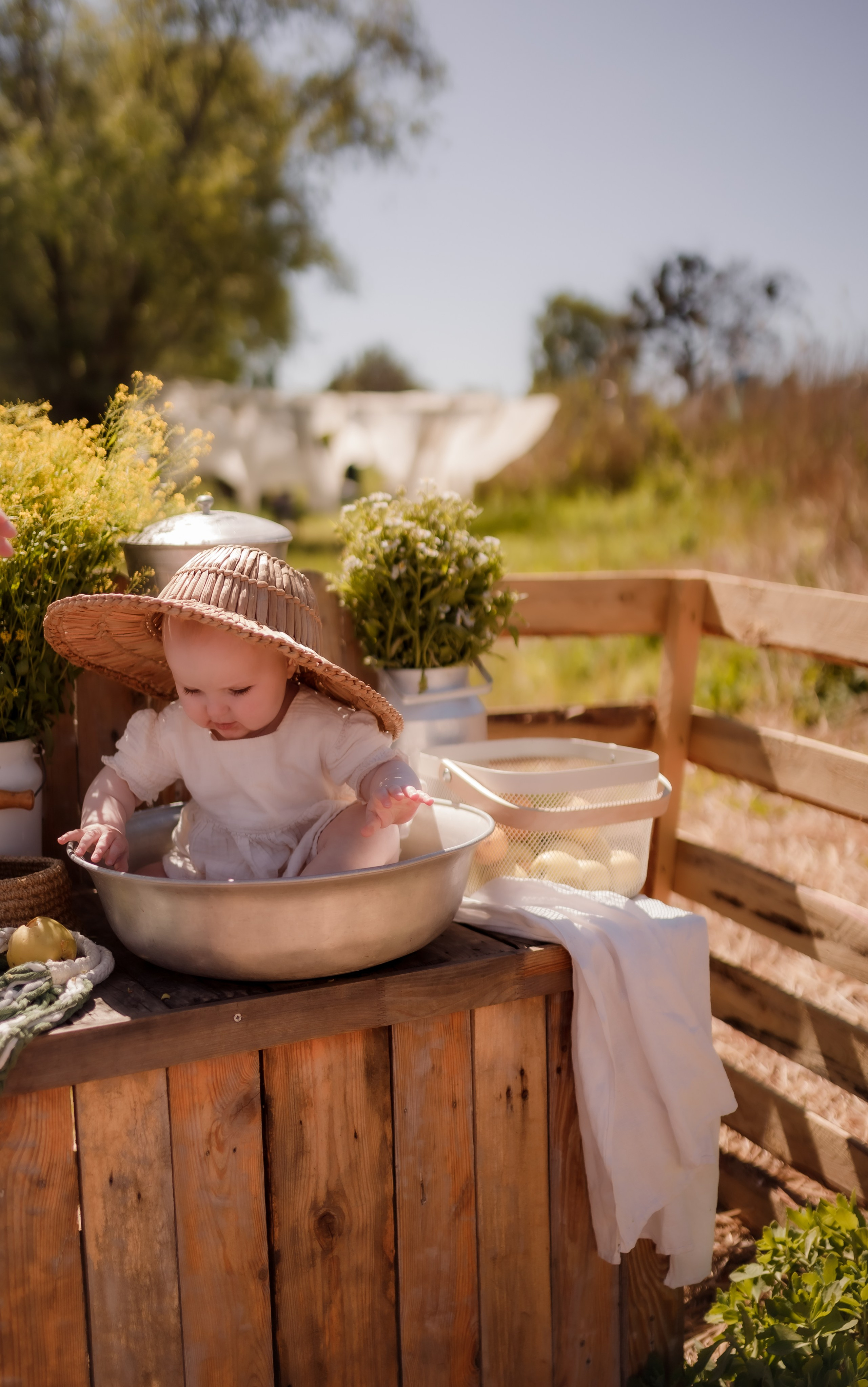 Сім’я Коломієць. Семейный и свадебный фотограф в Харьков