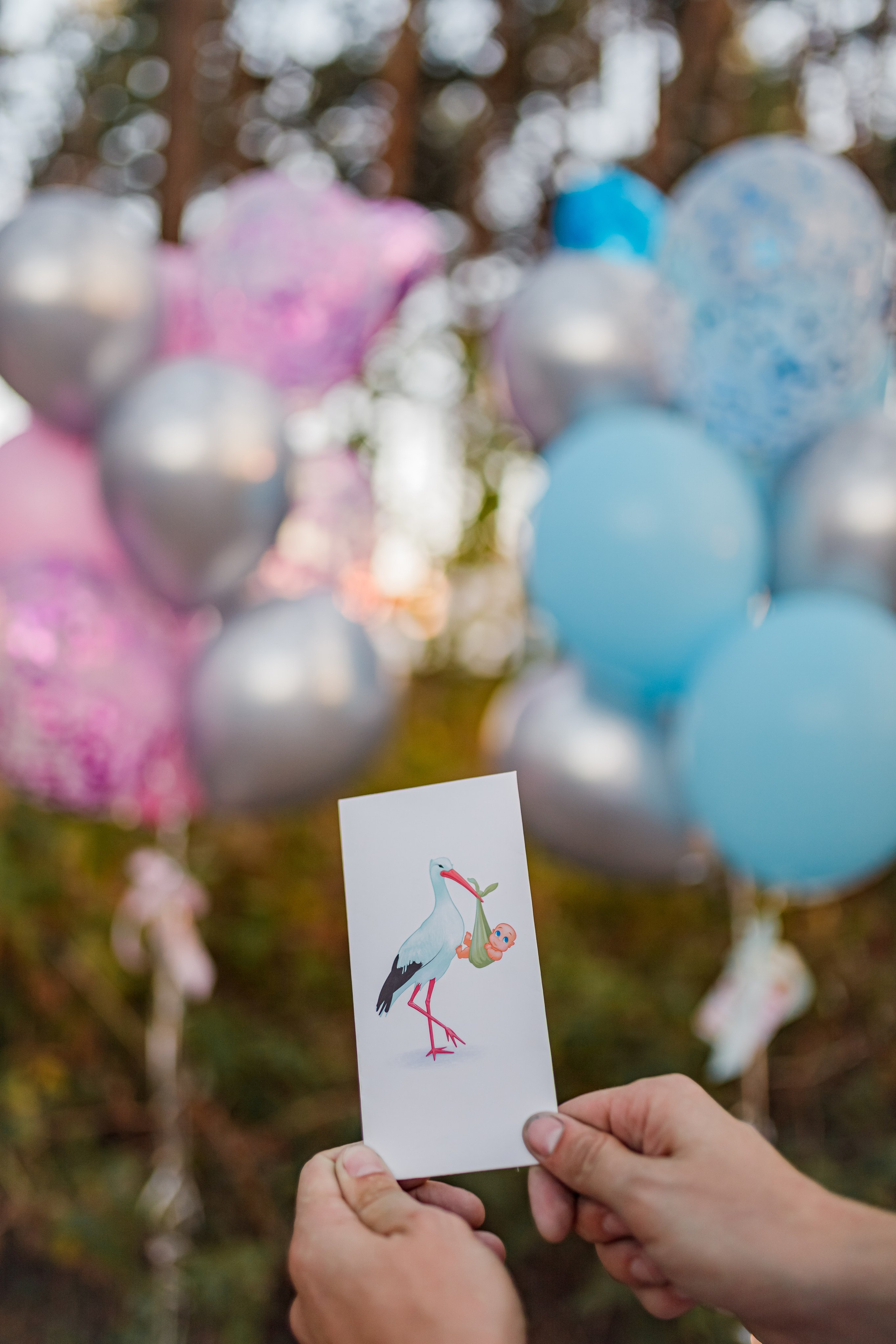 Gender party Юлія Олексій. Семейный и свадебный фотограф в Харьков