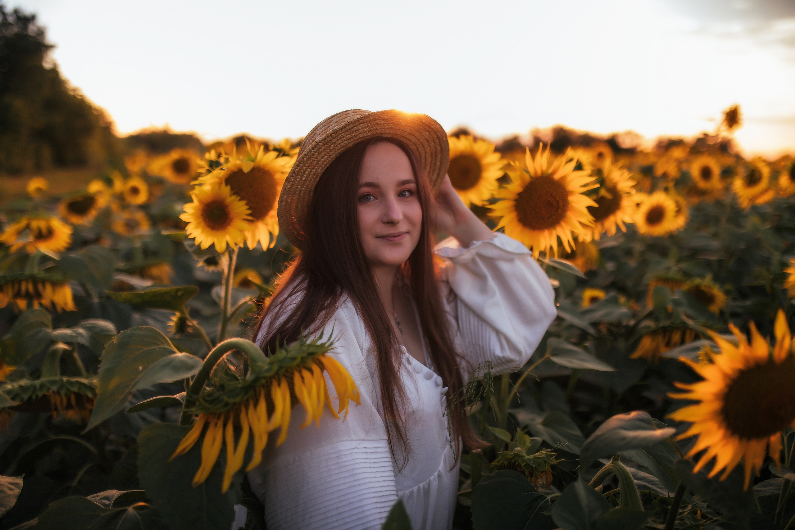 Вікторія і соняшники. Семейный и свадебный фотограф в Харьков