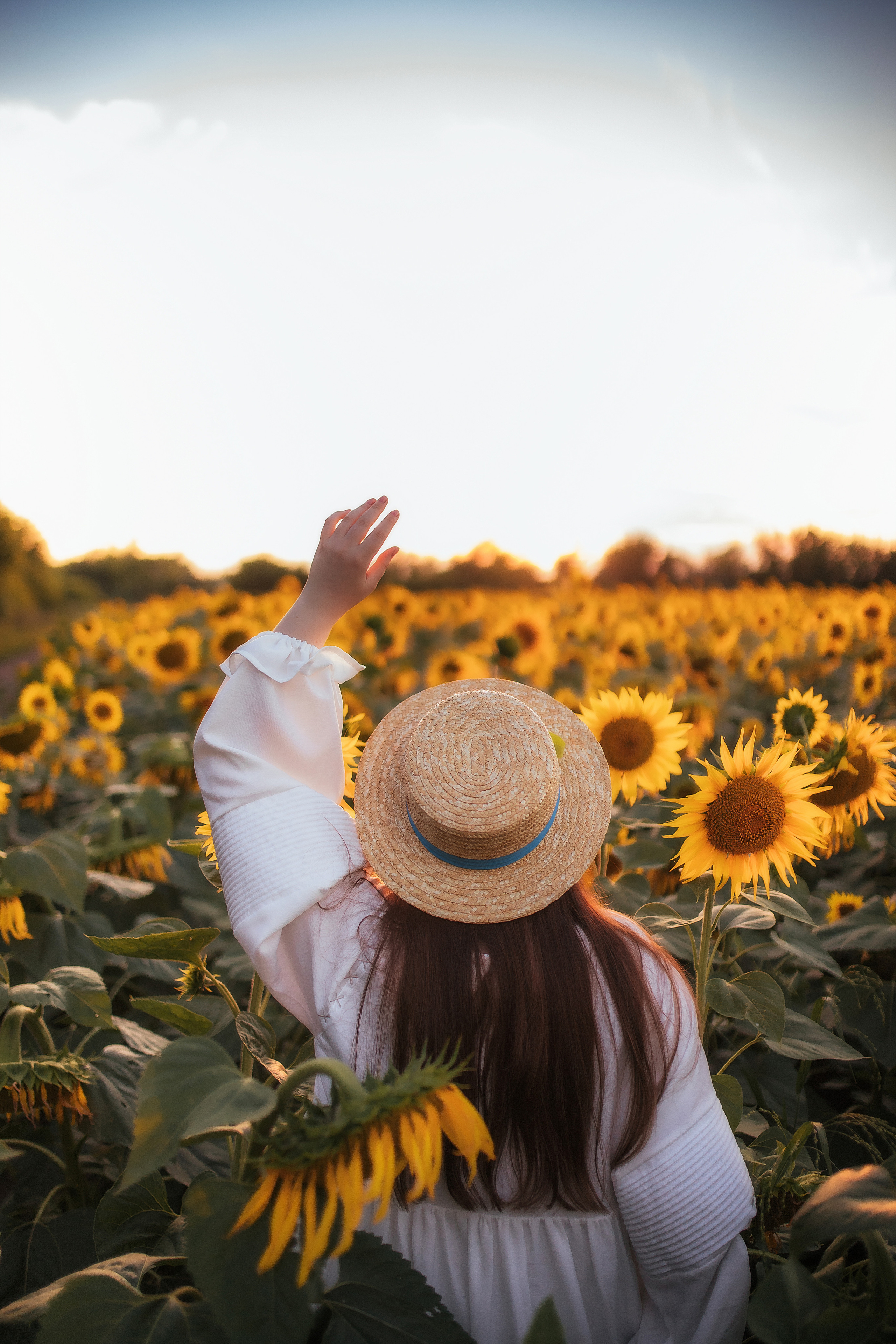 Вікторія і соняшники. Семейный и свадебный фотограф в Харьков