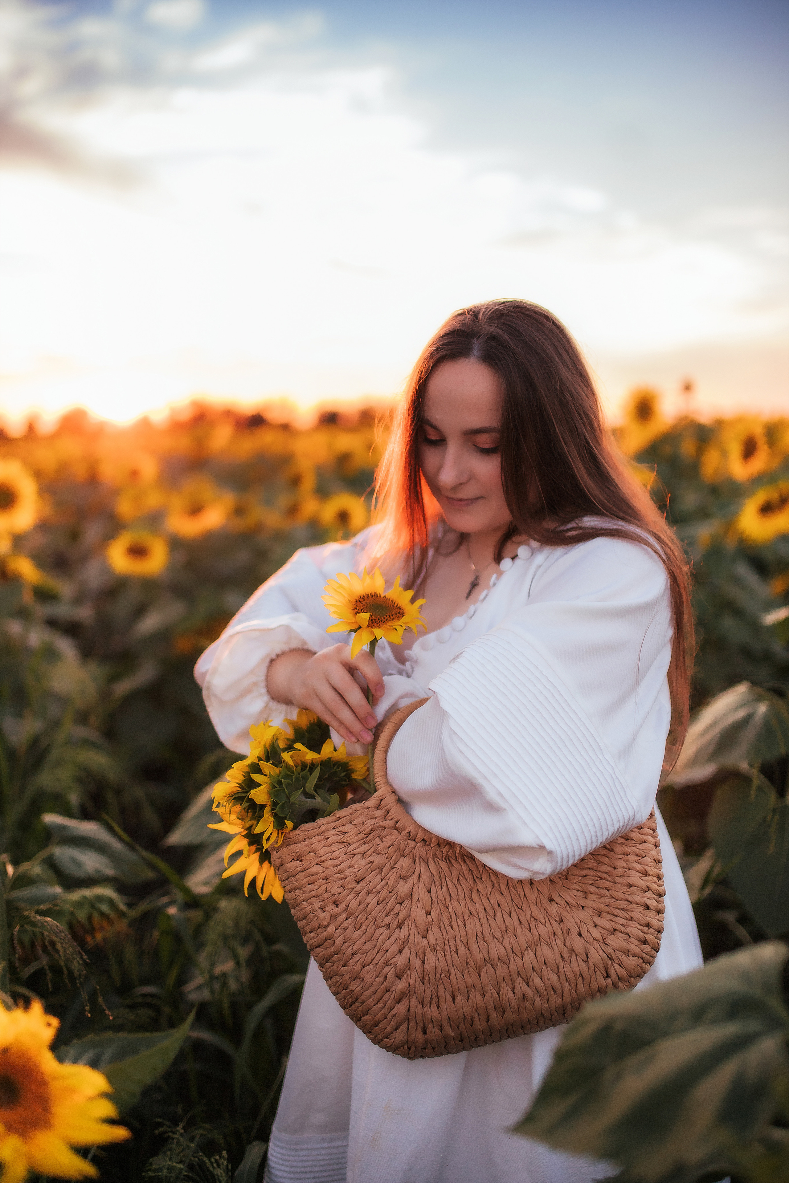 Вікторія і соняшники. Семейный и свадебный фотограф в Харьков