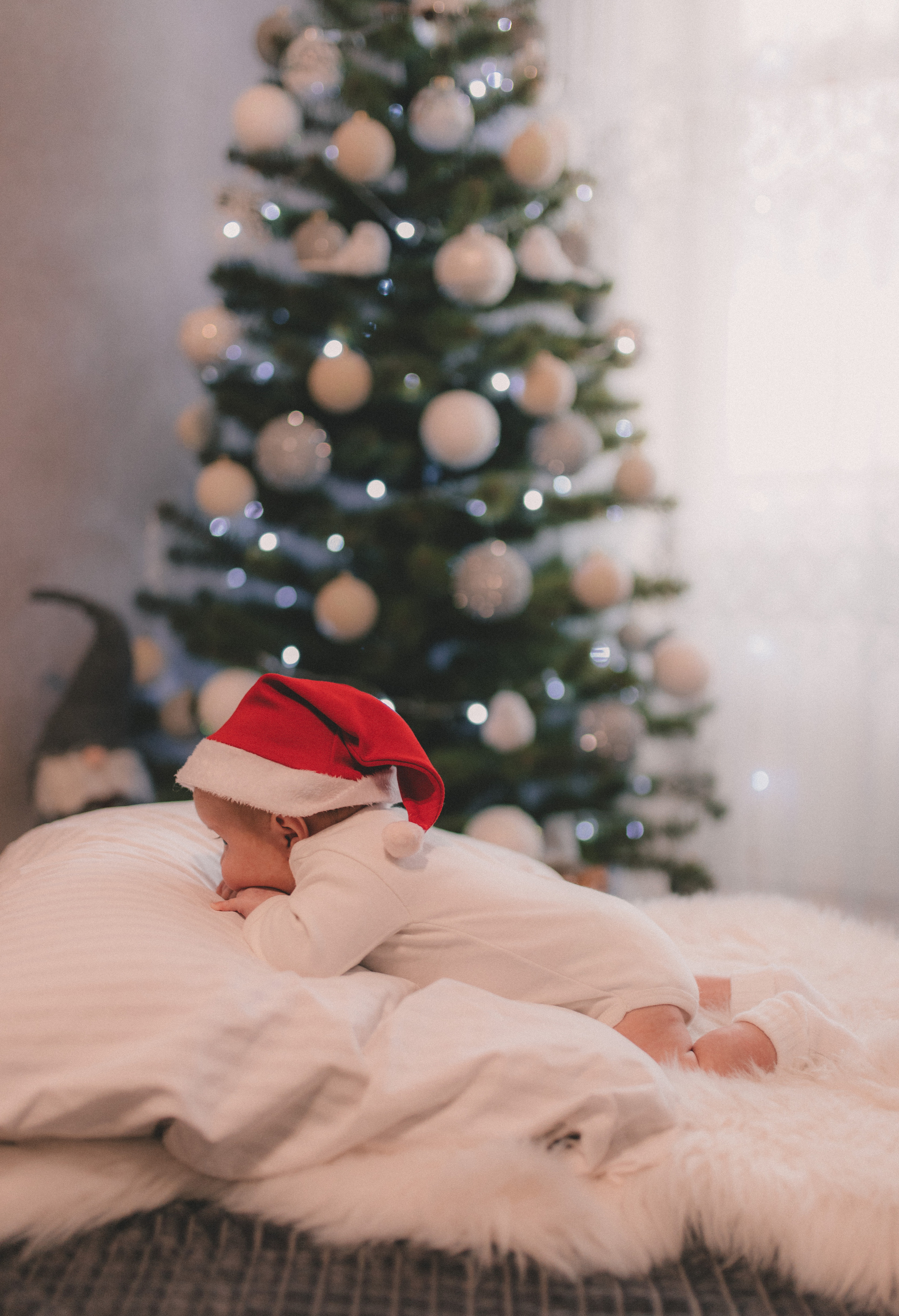 Злата. Семейный и свадебный фотограф в Харьков