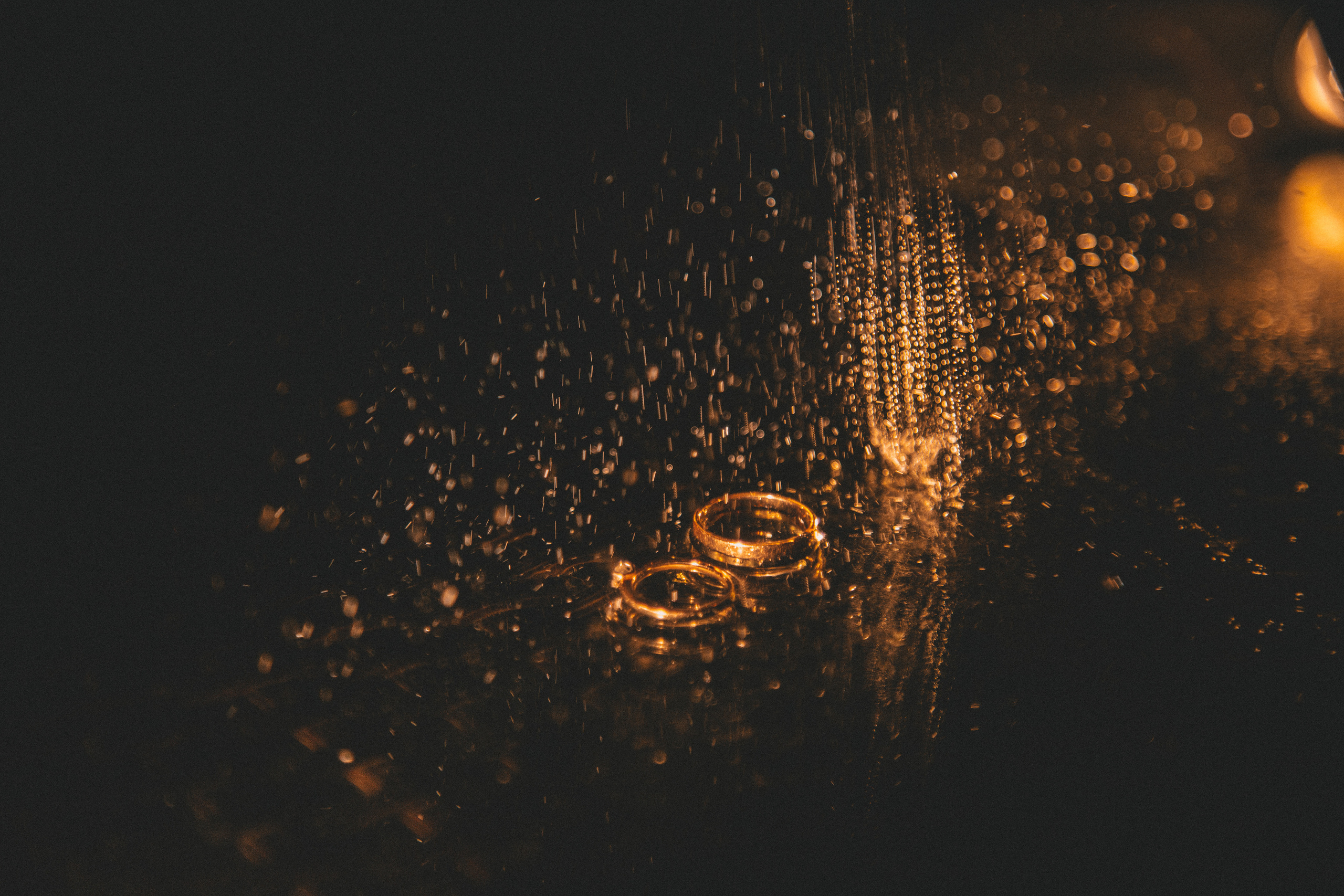 Семейный и свадебный фотограф в Харьков