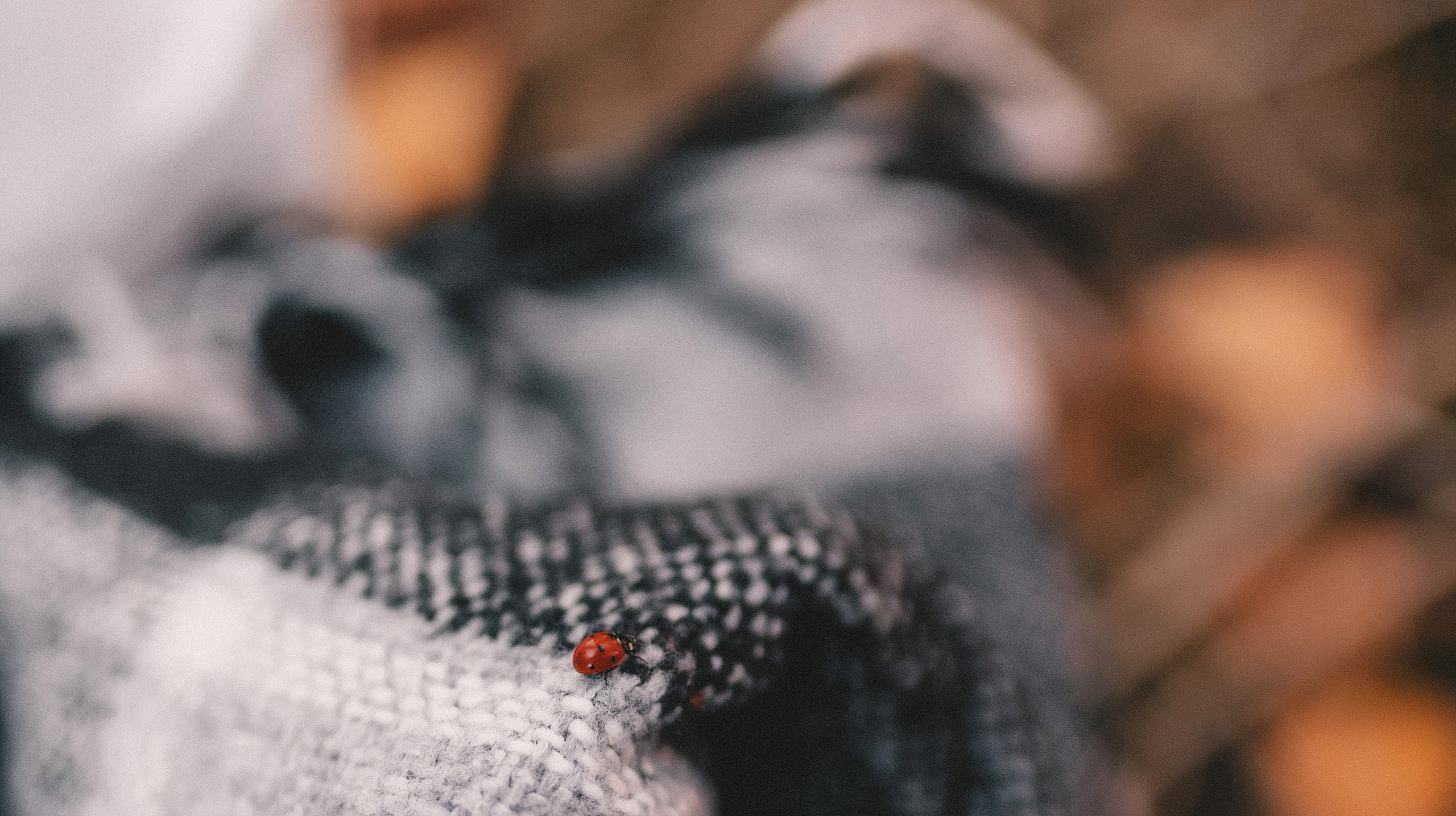 Александр Анастасия. Семейный и свадебный фотограф в Харьков