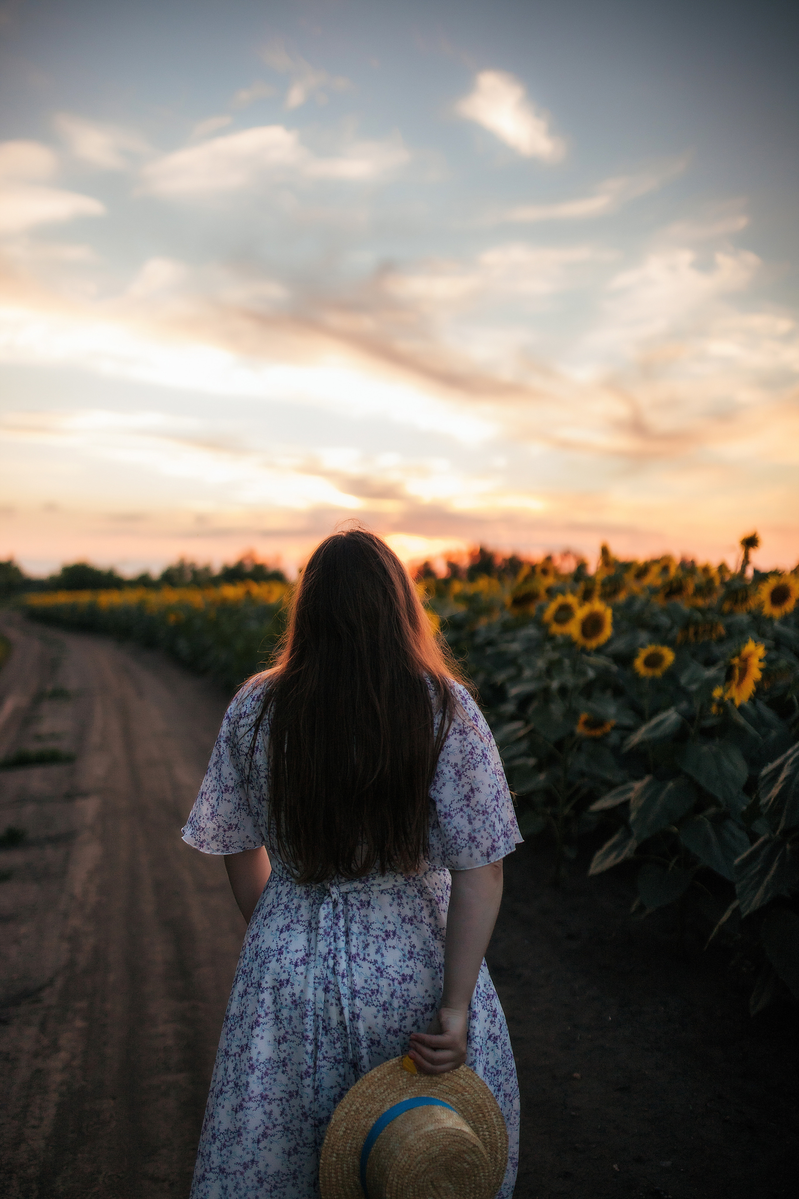 Вікторія і соняшники. Семейный и свадебный фотограф в Харьков