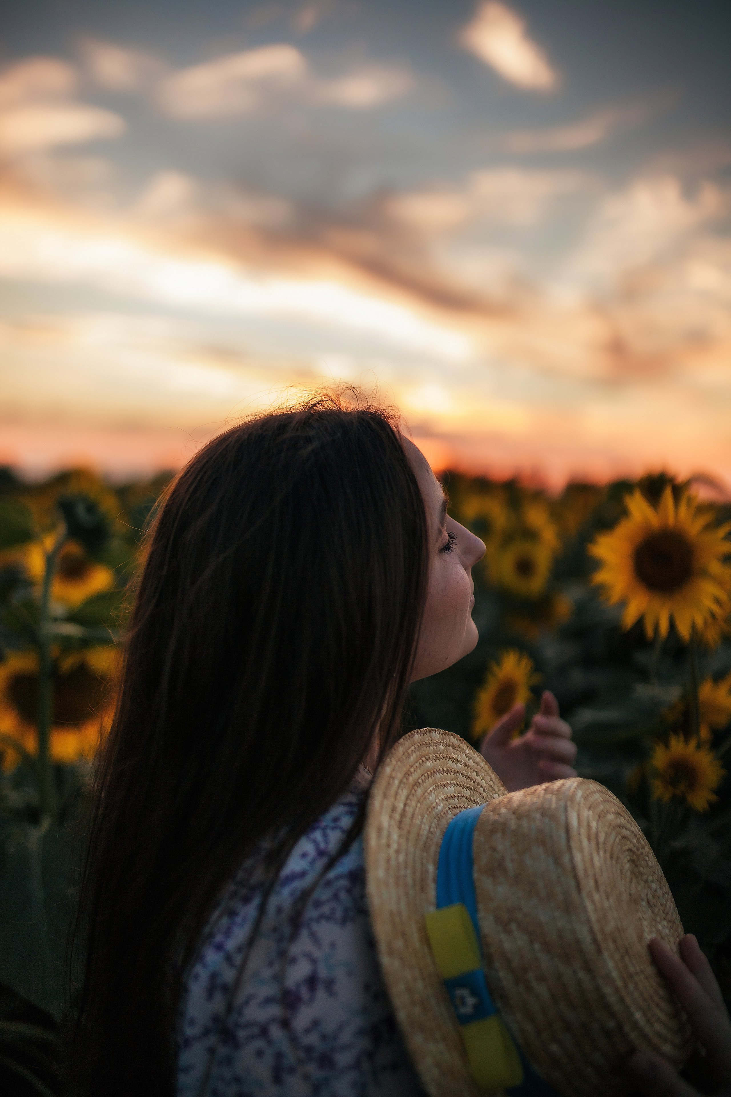 Вікторія і соняшники. Семейный и свадебный фотограф в Харьков