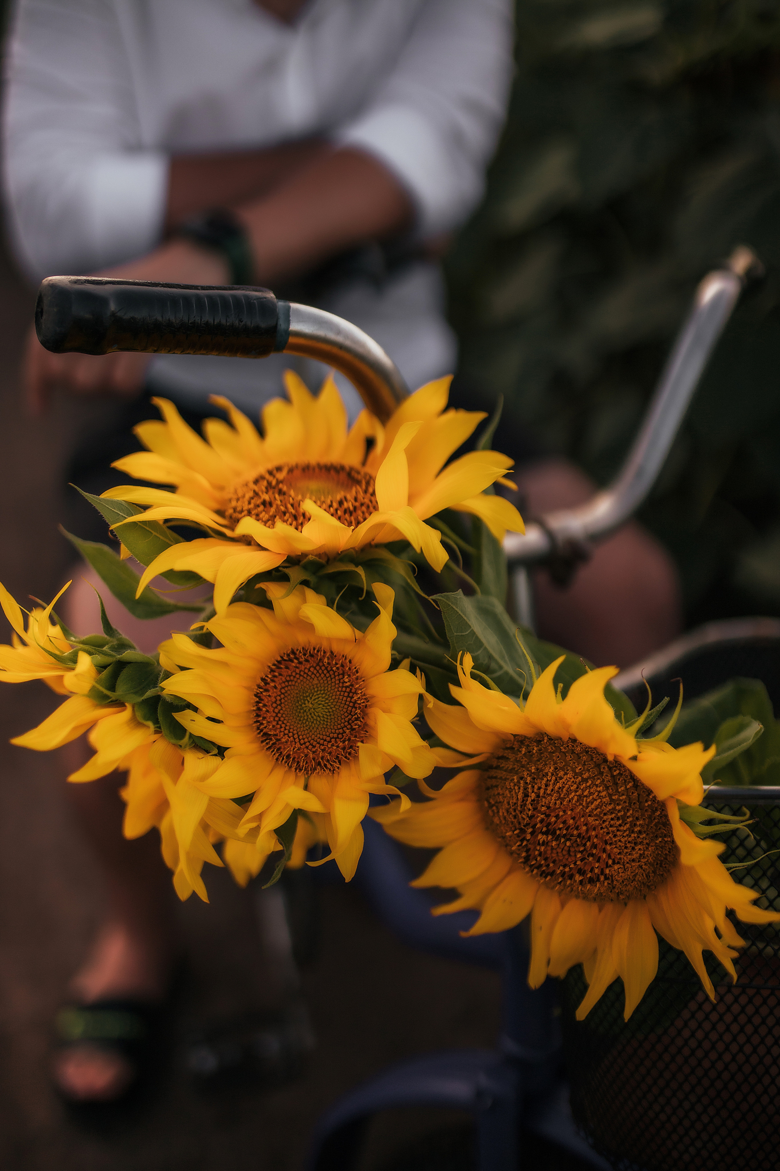 Артем. Семейный и свадебный фотограф в Харьков