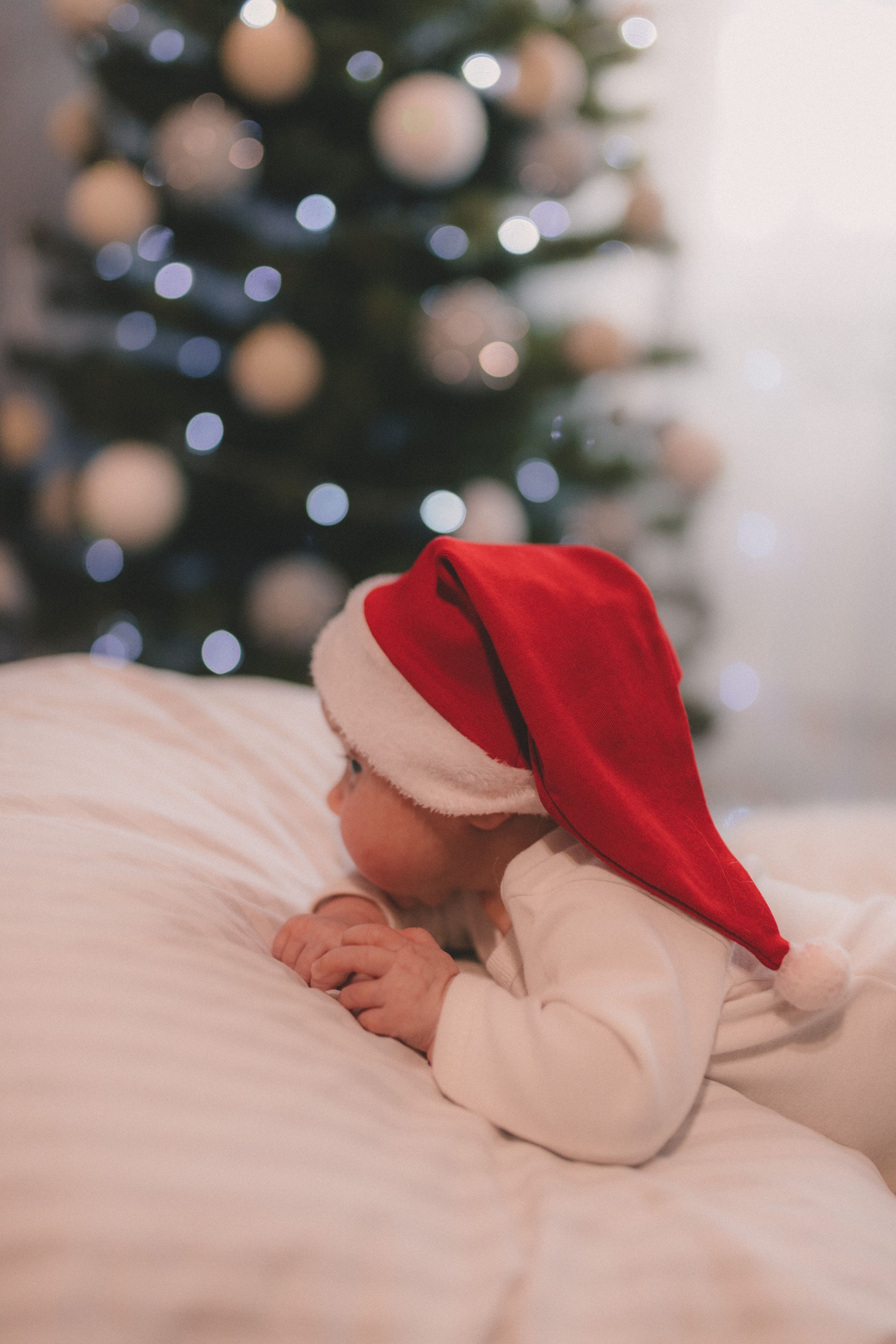 Злата Вера Саша. Семейный и свадебный фотограф в Харьков