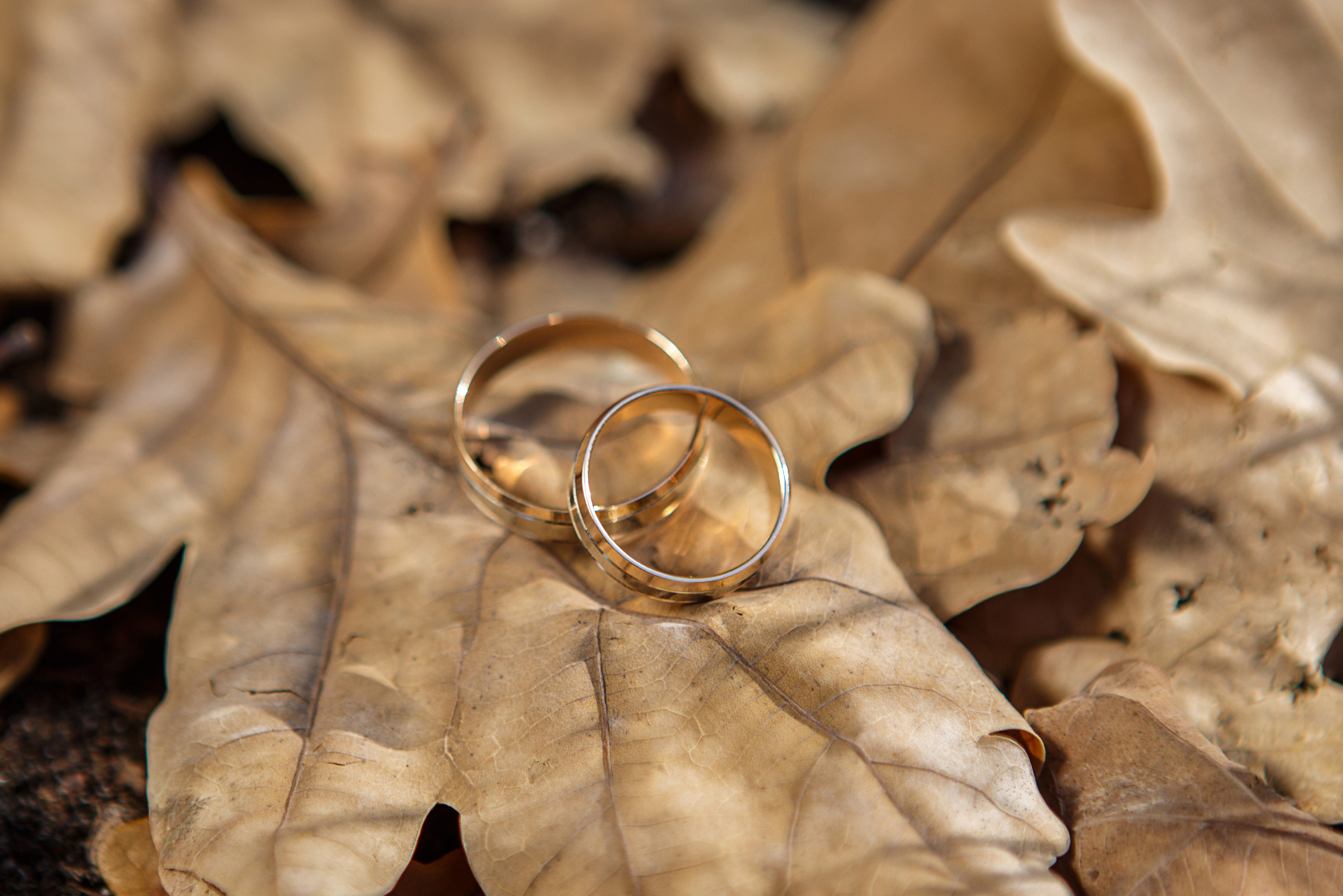 Свадебные фотосессии для молодоженов. Весільний та сімейний фотограф Харків