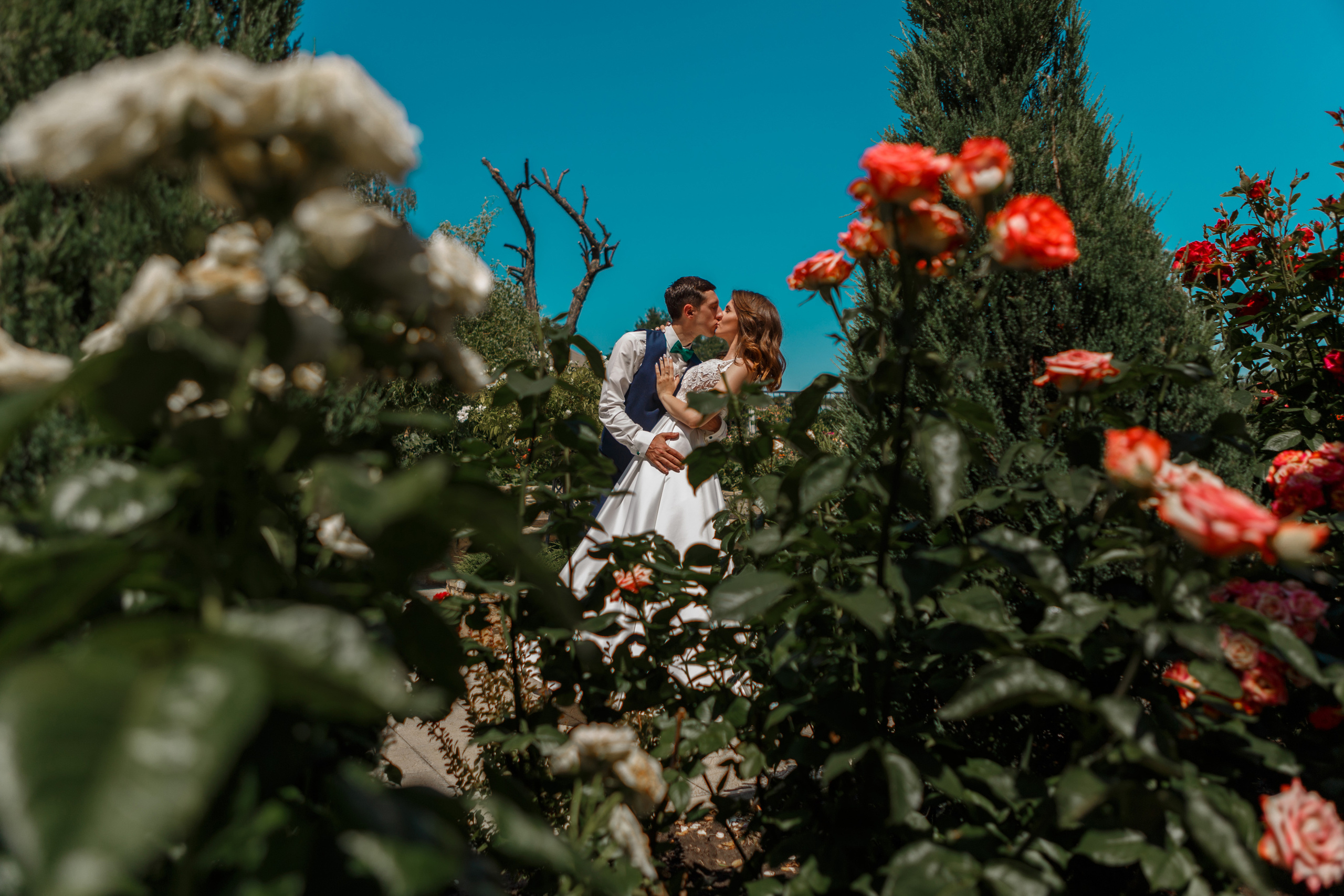 Свадебные фотосессии для молодоженов. Весільний та сімейний фотограф Харків