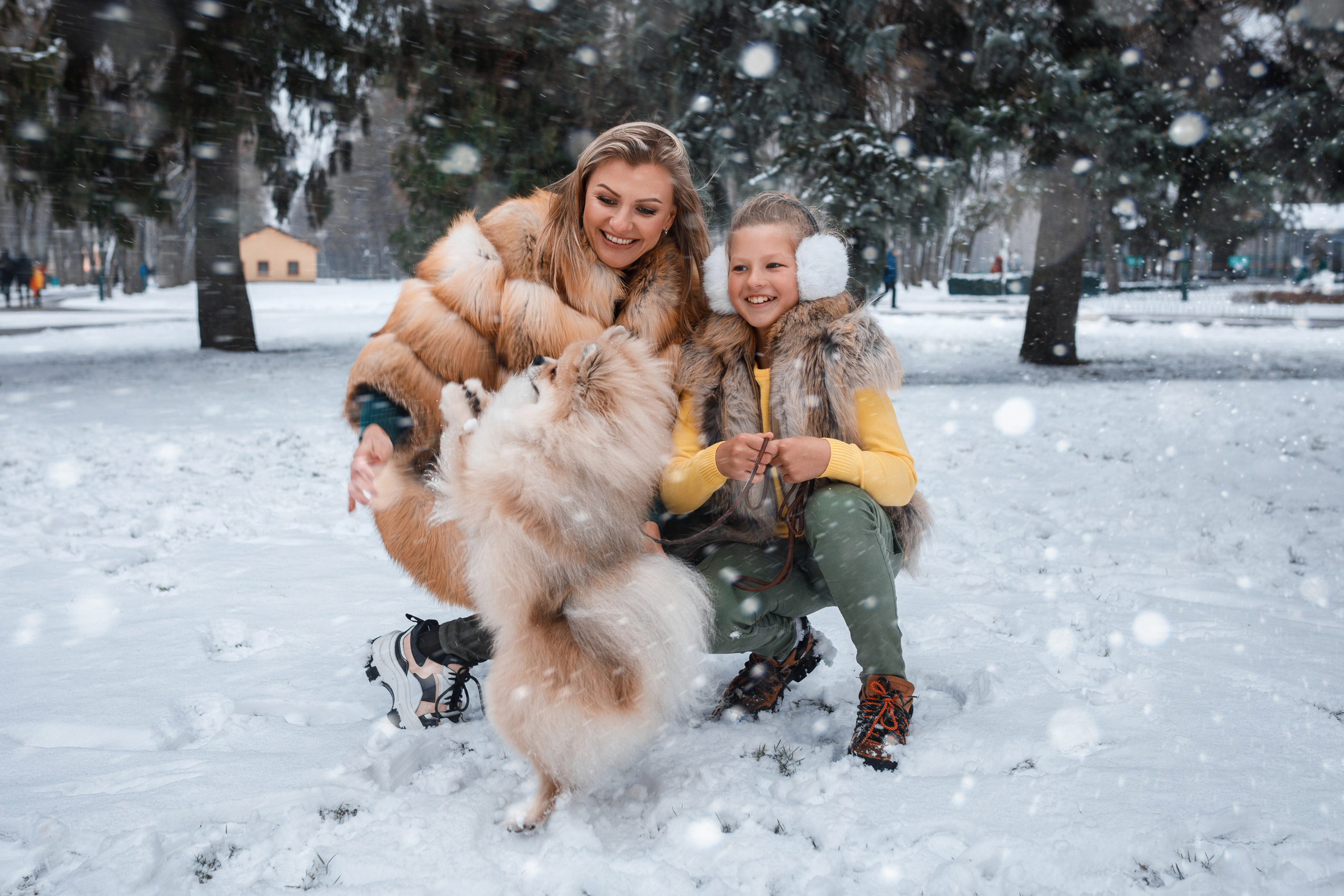 Family. Весільний та сімейний фотограф Харків