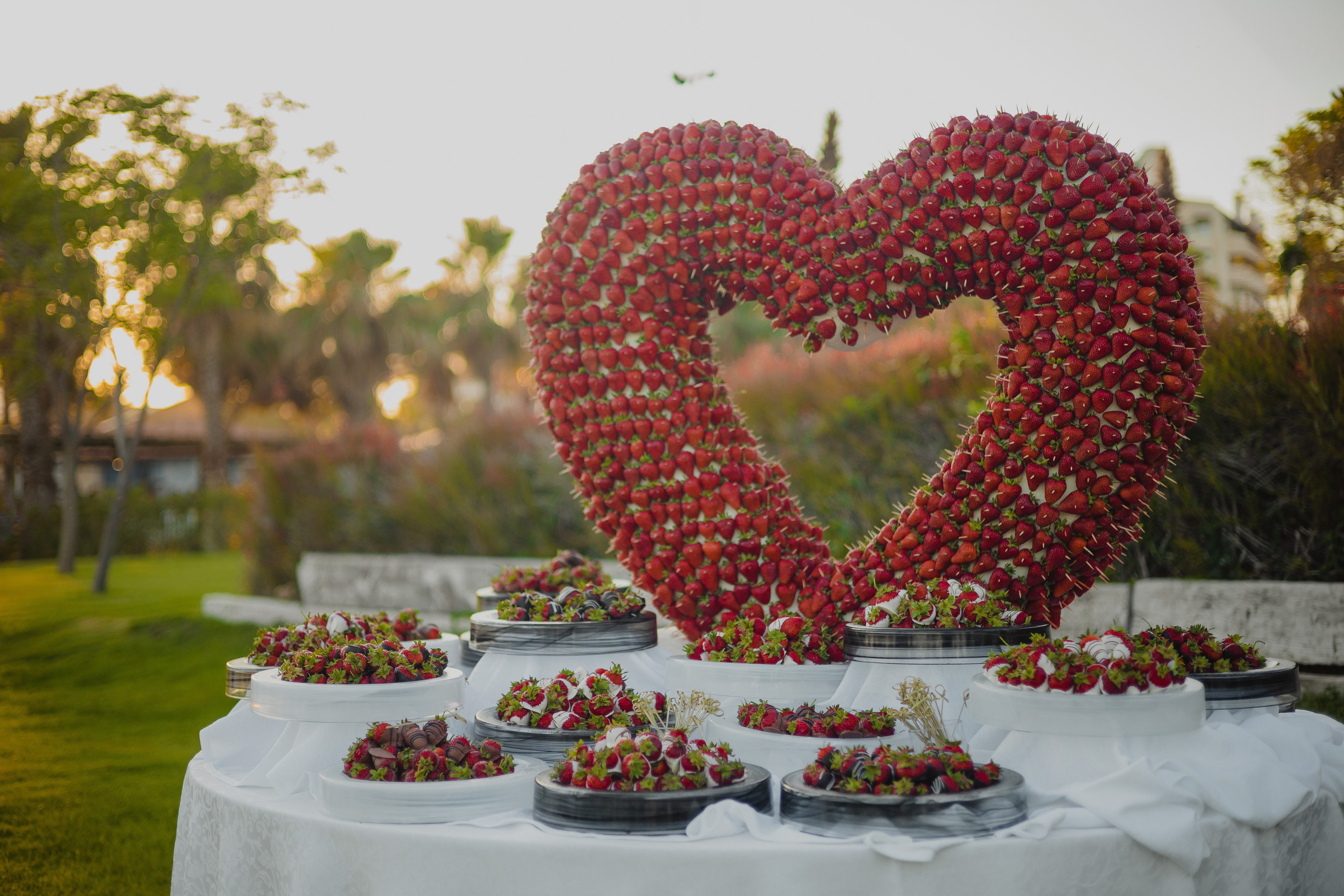 Свадьба. Белек. Кара Дмитрий, фотограф Аланья