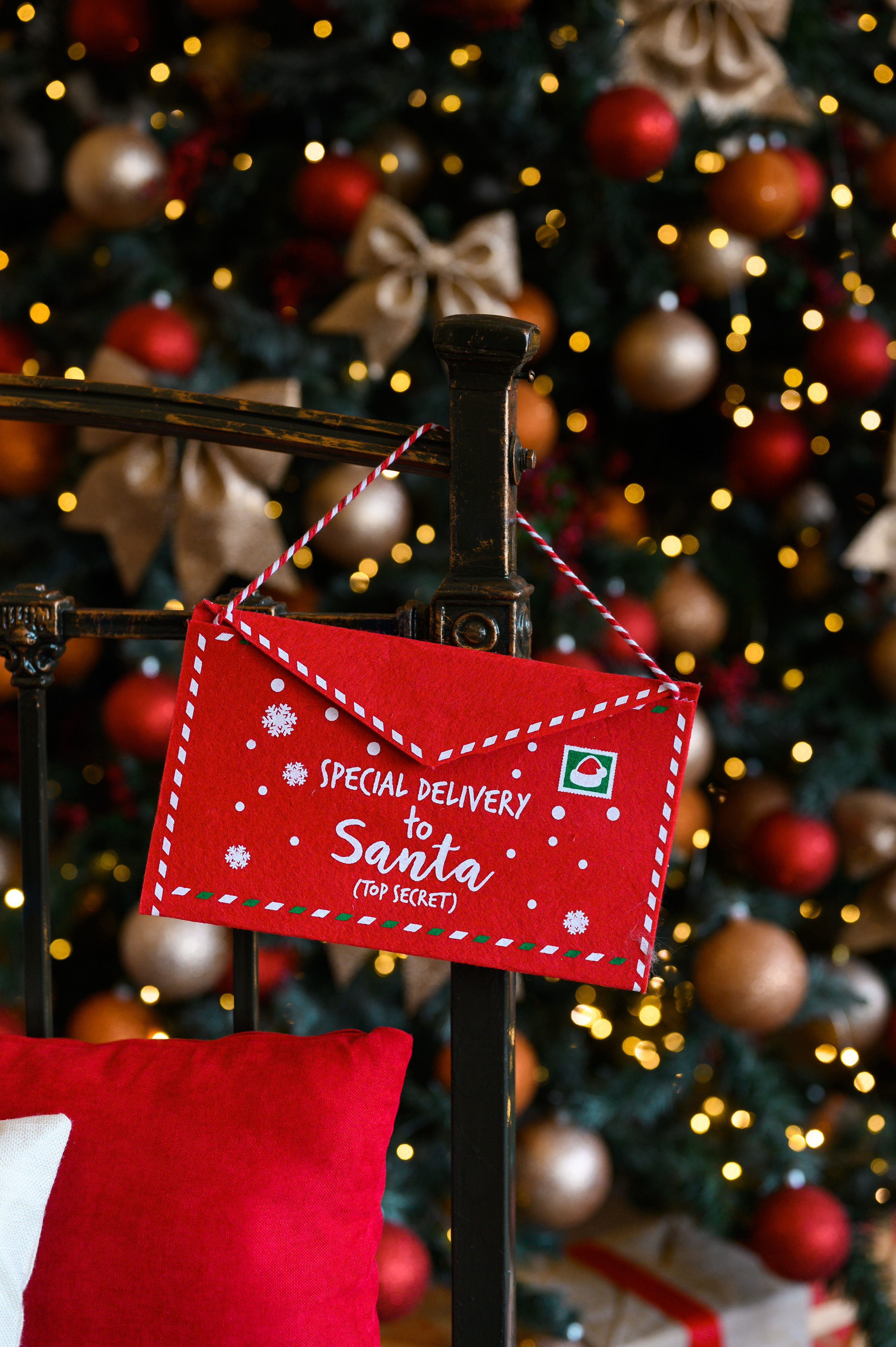 «Семейный» будние -1100грн выходные — 1300грн. Кара Дмитрий, фотограф Аланья