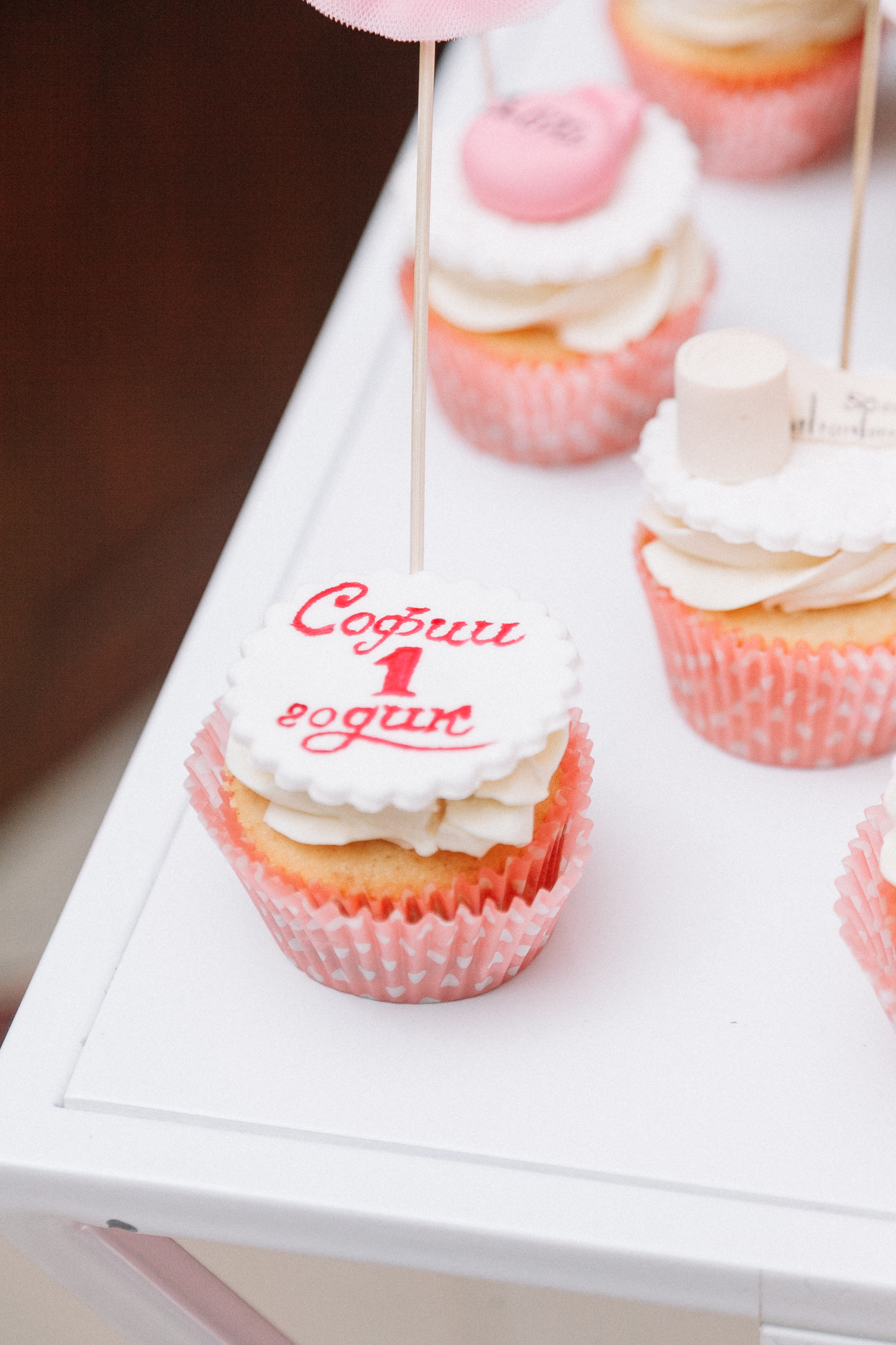 Годик Софии. Кара Дмитрий, фотограф Аланья