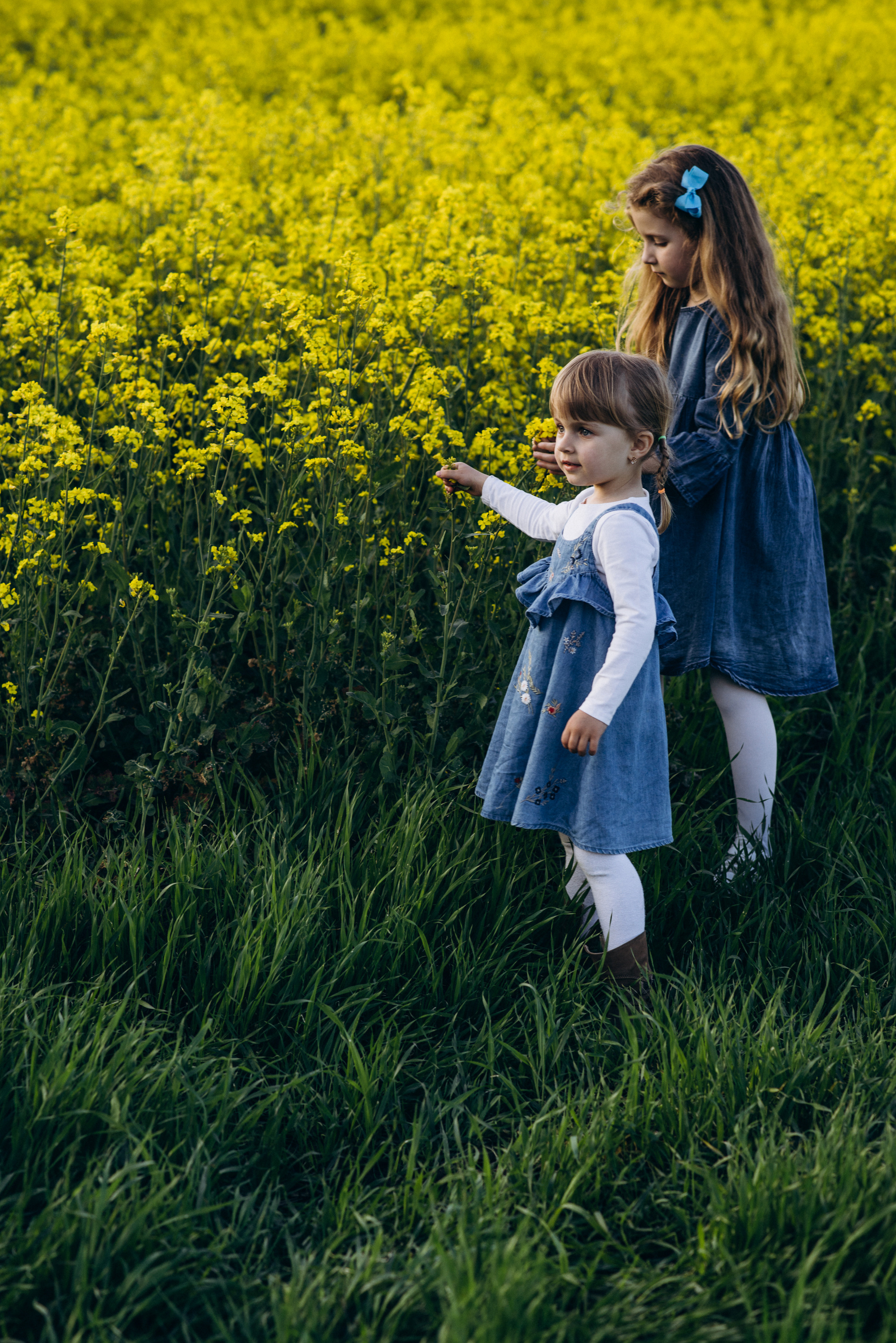 Сімейна фотосесія. Тарас, Тетяна, Орися, Яринка, Софія. Тернопільська обл. Сімейний, дитячий та індивідуальний фотограф в м. Тернопіль, м. Львів